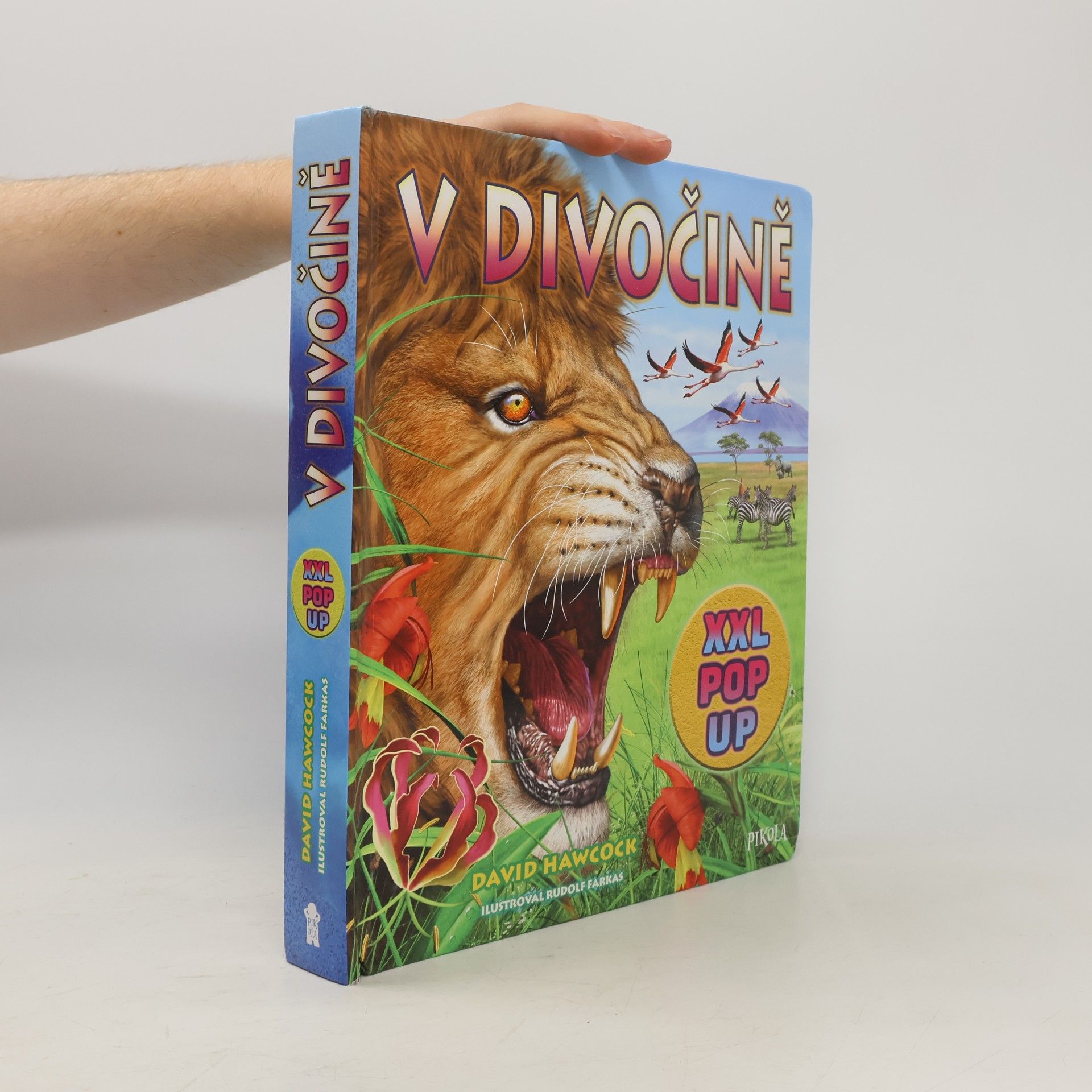 David Hawcock V divočině : XXL pop up