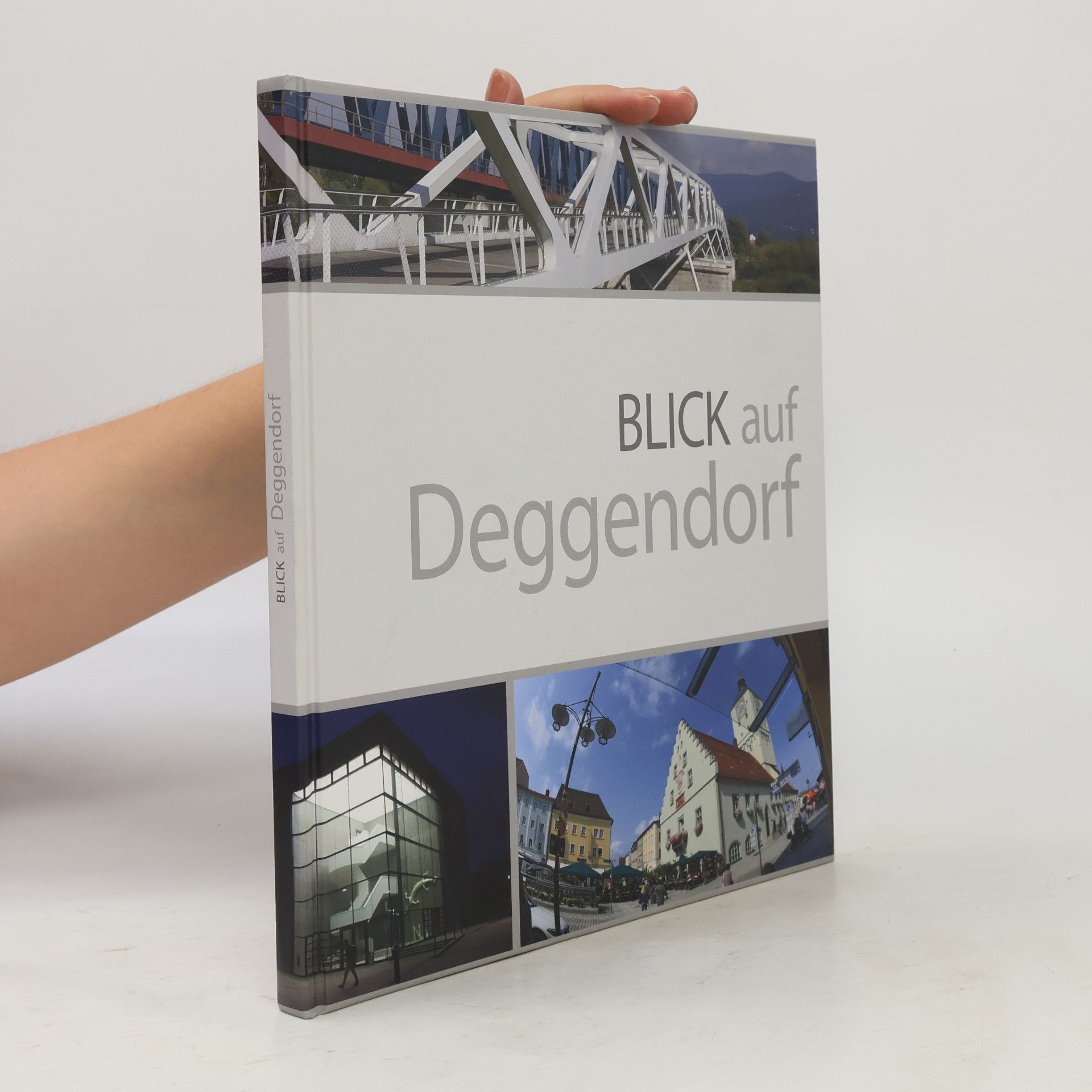 kolektiv Blick auf Deggendorf