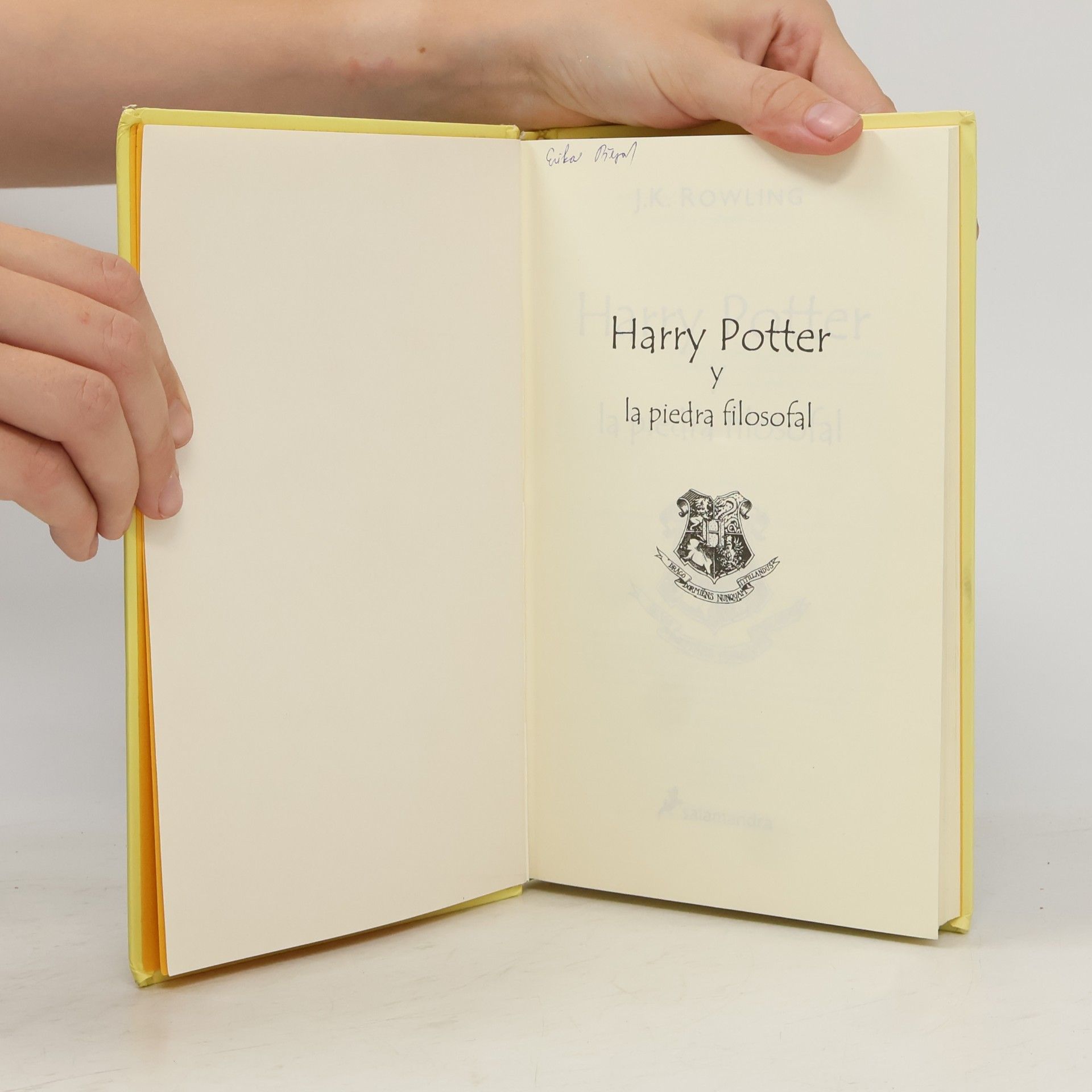 J. K. Rowling Harry Potter y la piedra filosofal