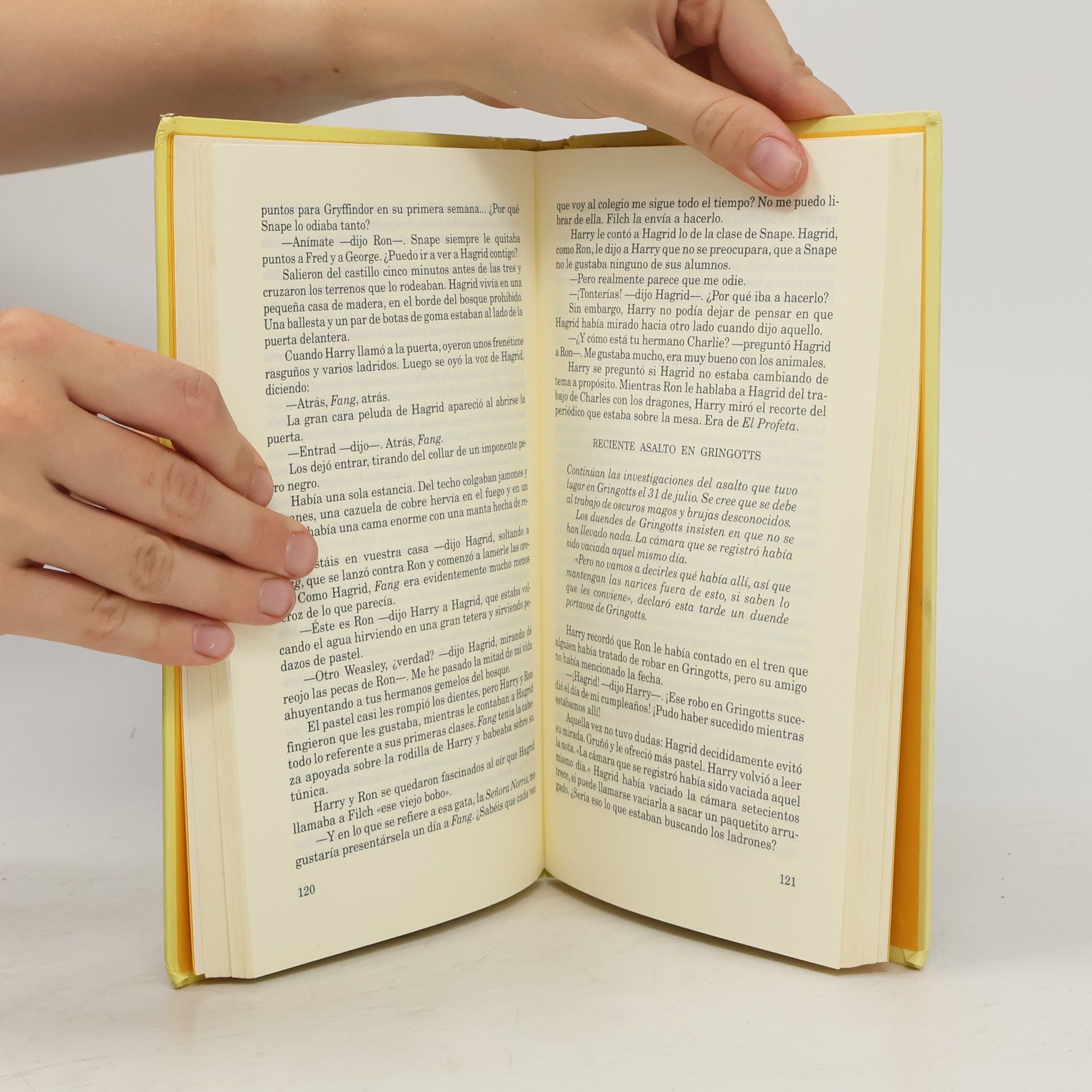 J. K. Rowling Harry Potter y la piedra filosofal