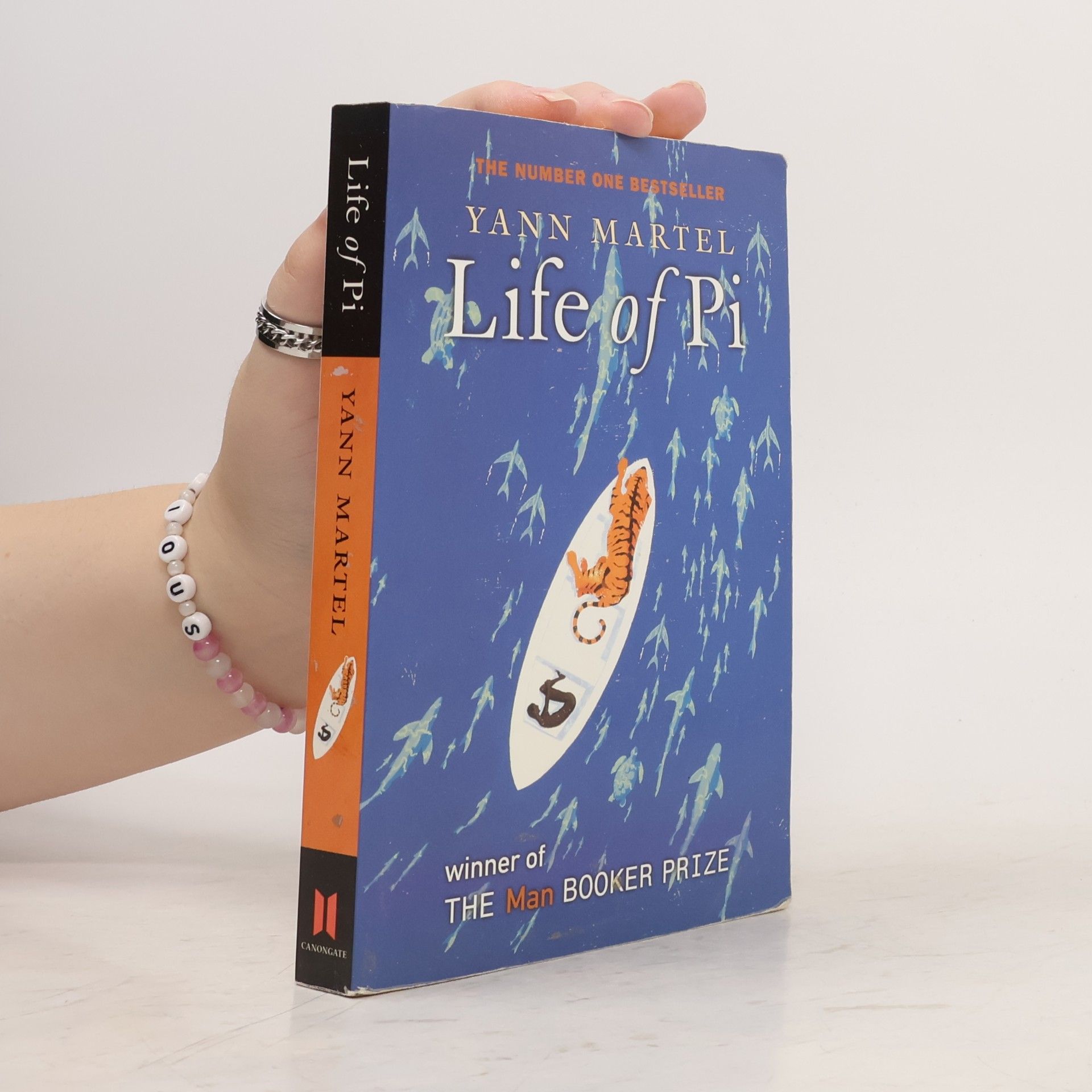 Yann Martel Life of Pi