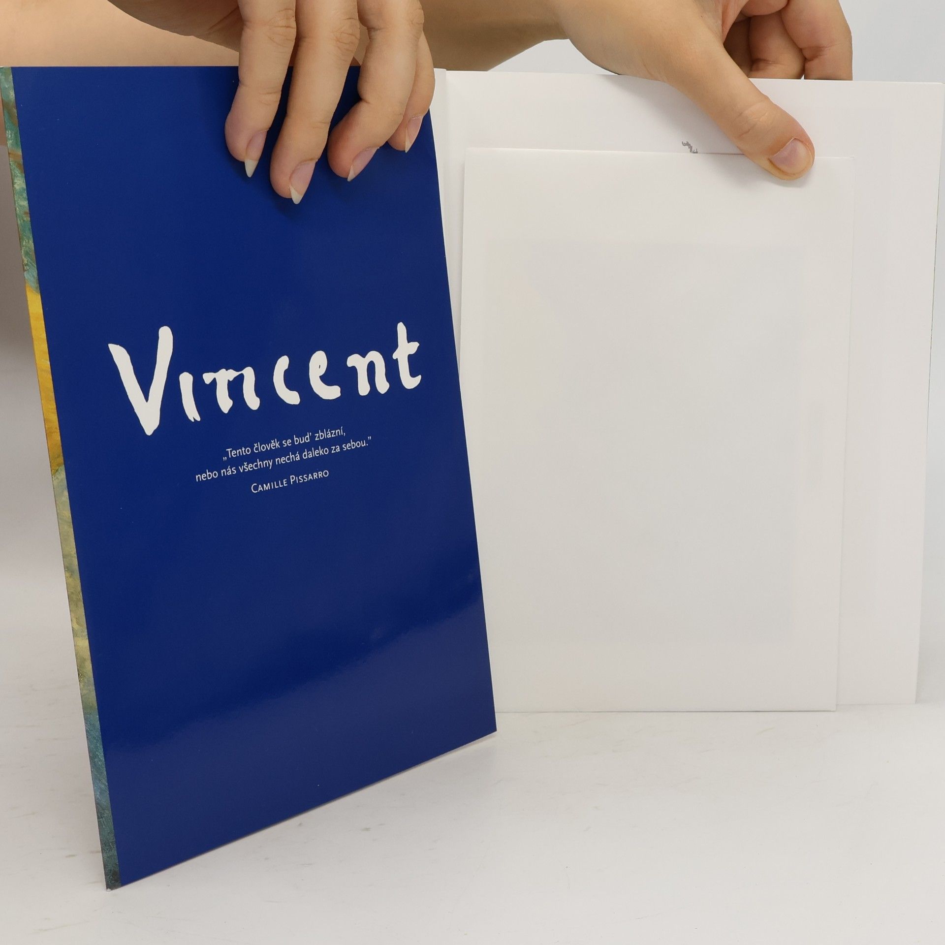 Ingo F. Walther Vincent Van Gogh : 1853-1890 : vize a skutečnost