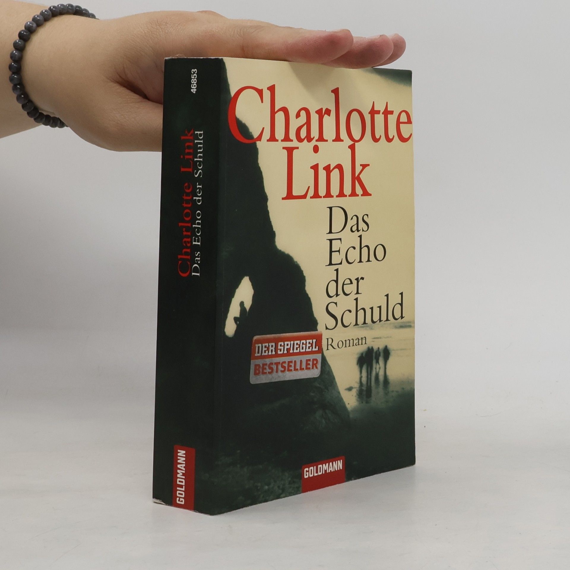 Charlotte Link Das Echo der Schuld