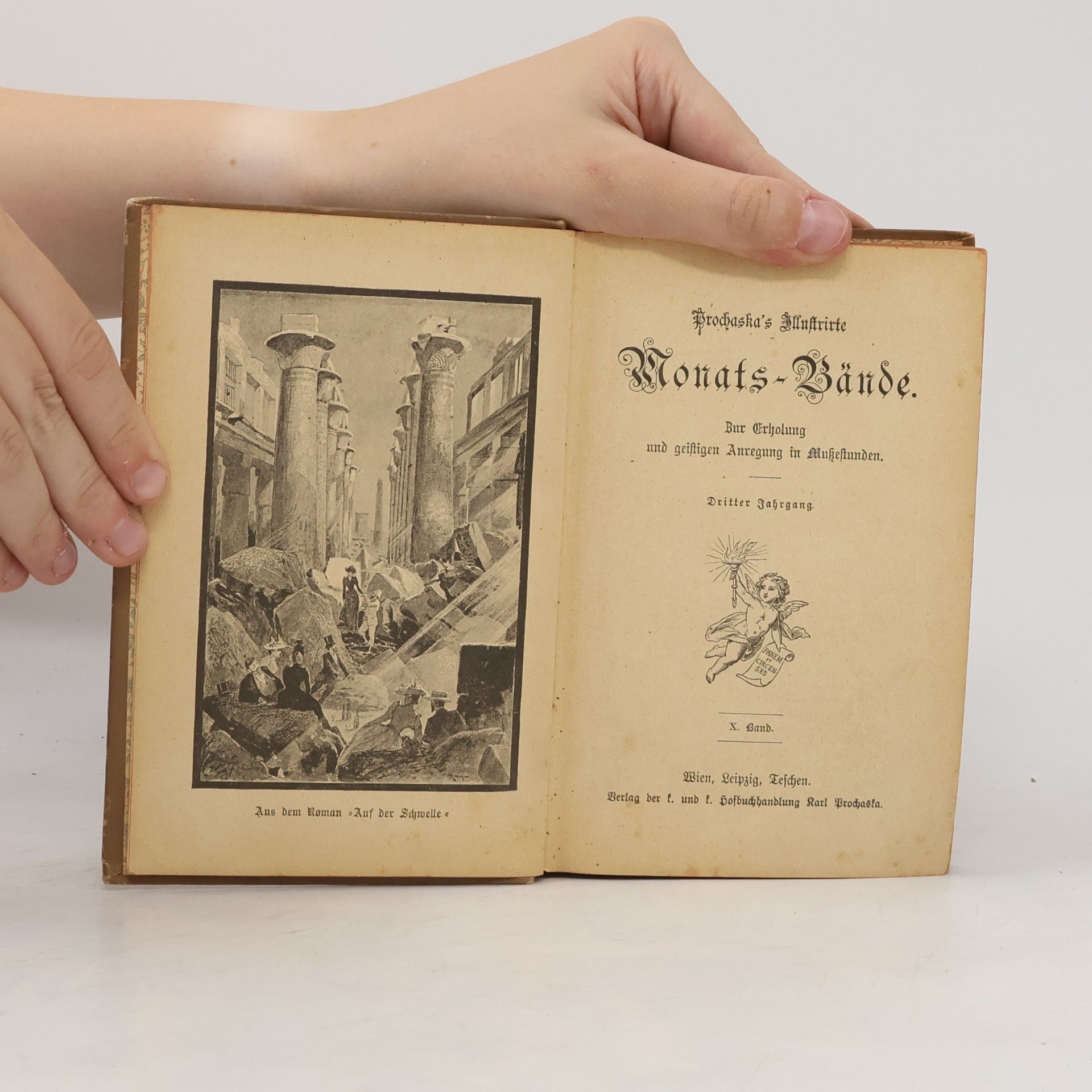 Karl Prochaska Prochaska's illustrirte Monatsbände X.