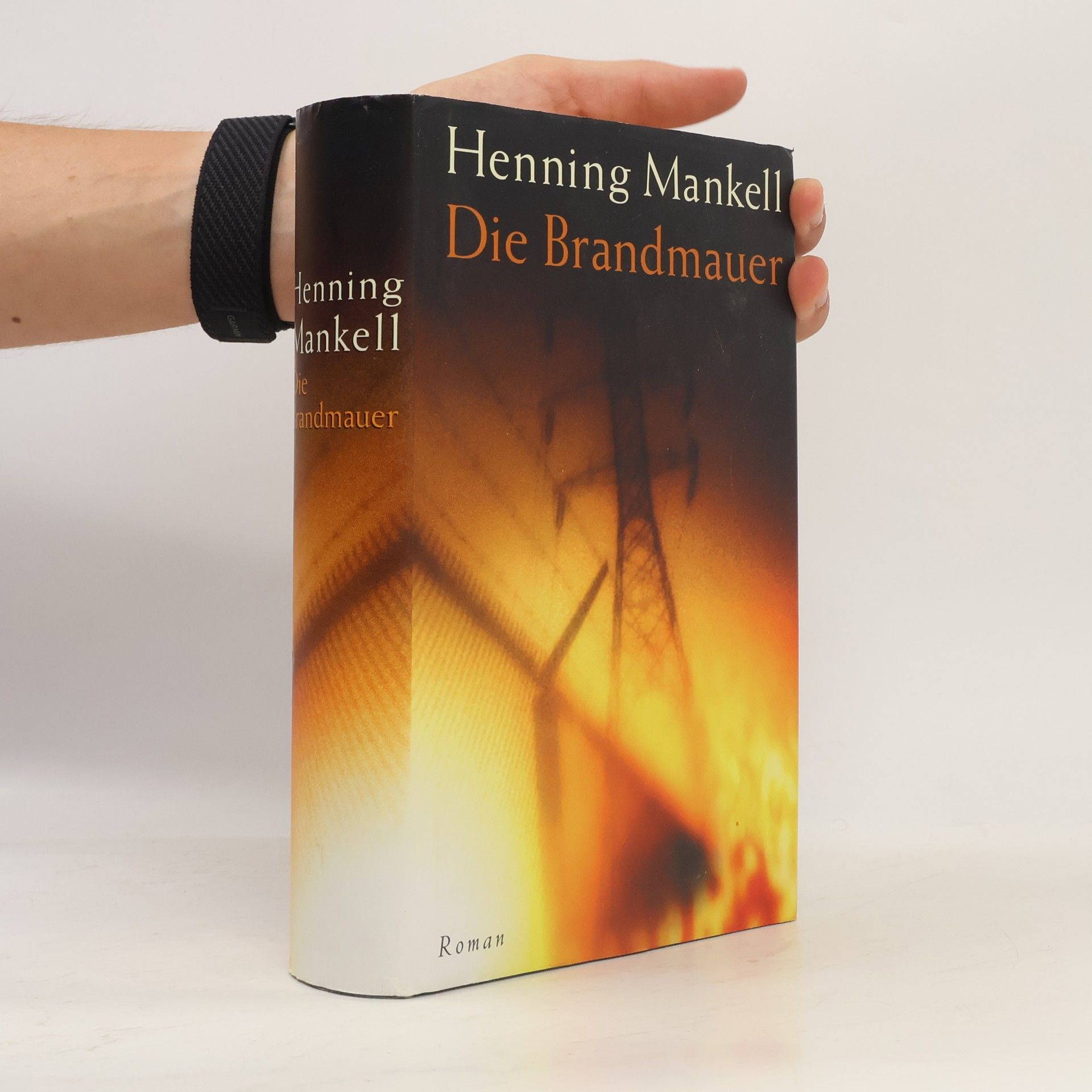 Henning Mankell Die Brandmauer