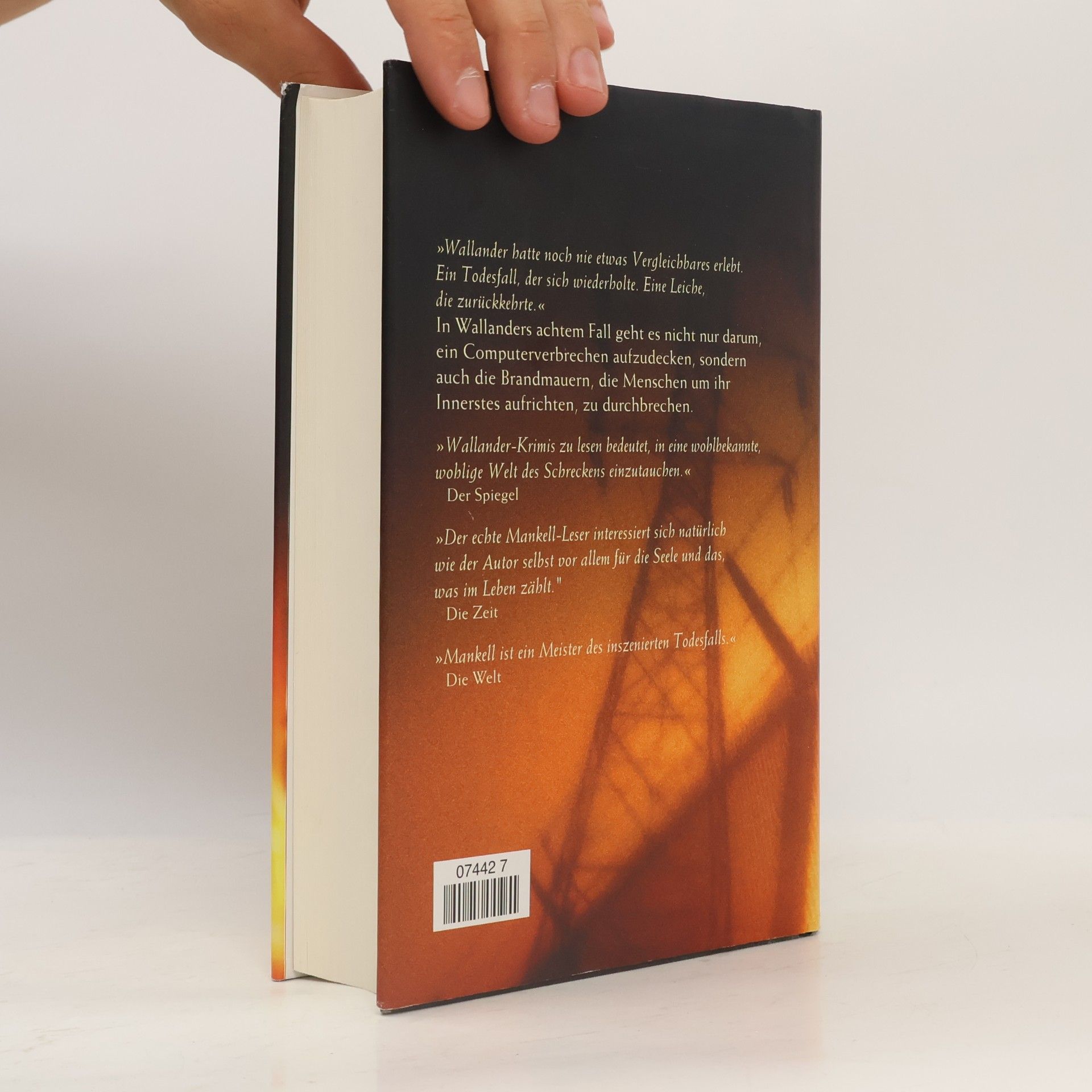 Henning Mankell Die Brandmauer