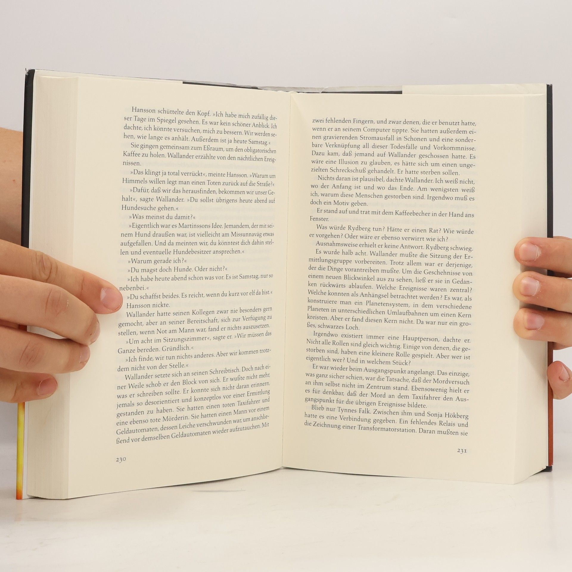 Henning Mankell Die Brandmauer