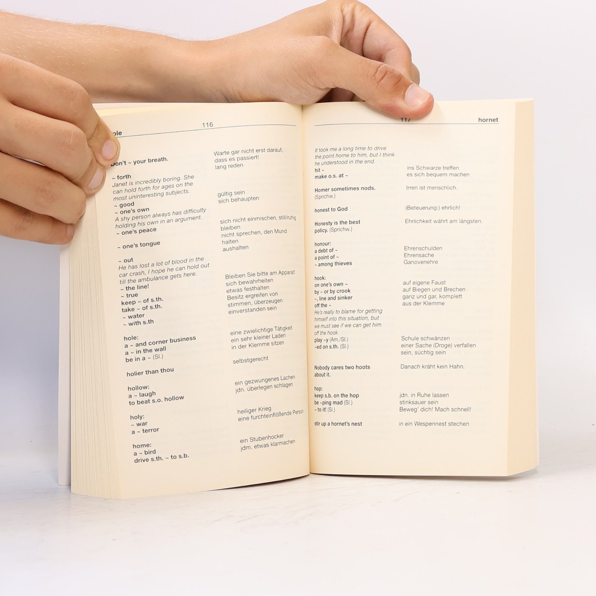 Kolektiv autorů Englisch Idioms