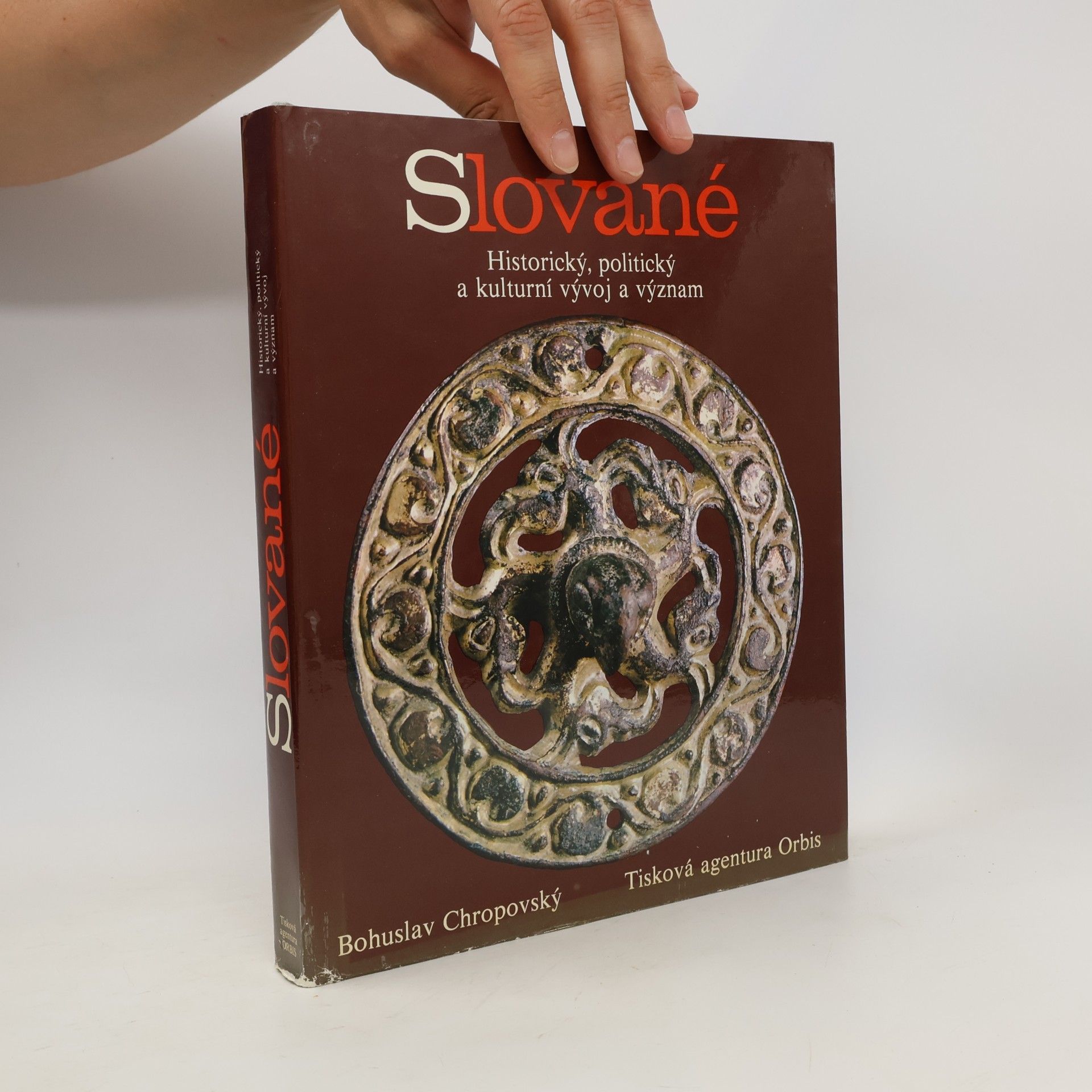 Bohuslav Chropovský Slované. Historický, politický a kulturní vývoj a význam