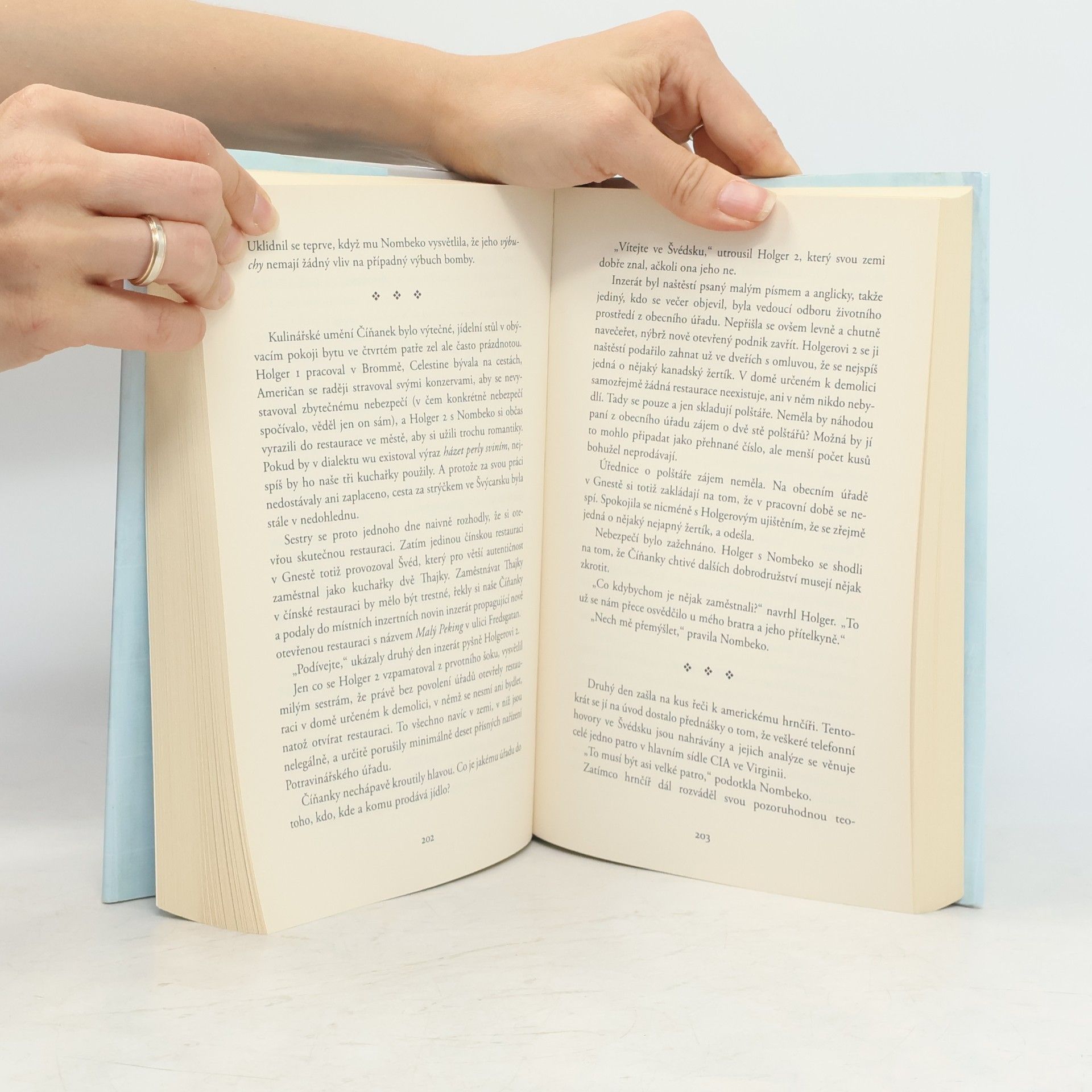 Jonas Jonasson Analfabetka, která uměla počítat
