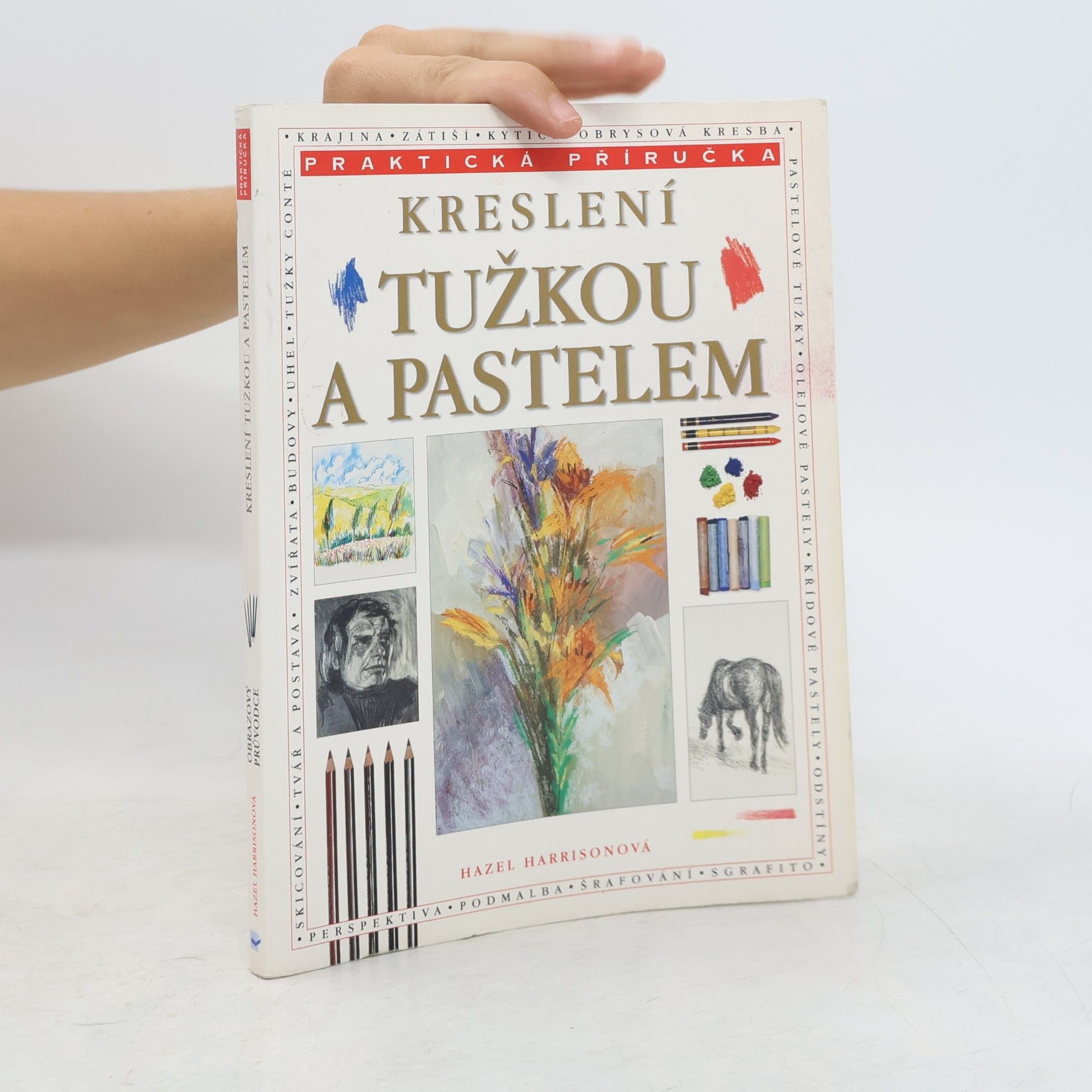 Kreslení tužkou a pastelem