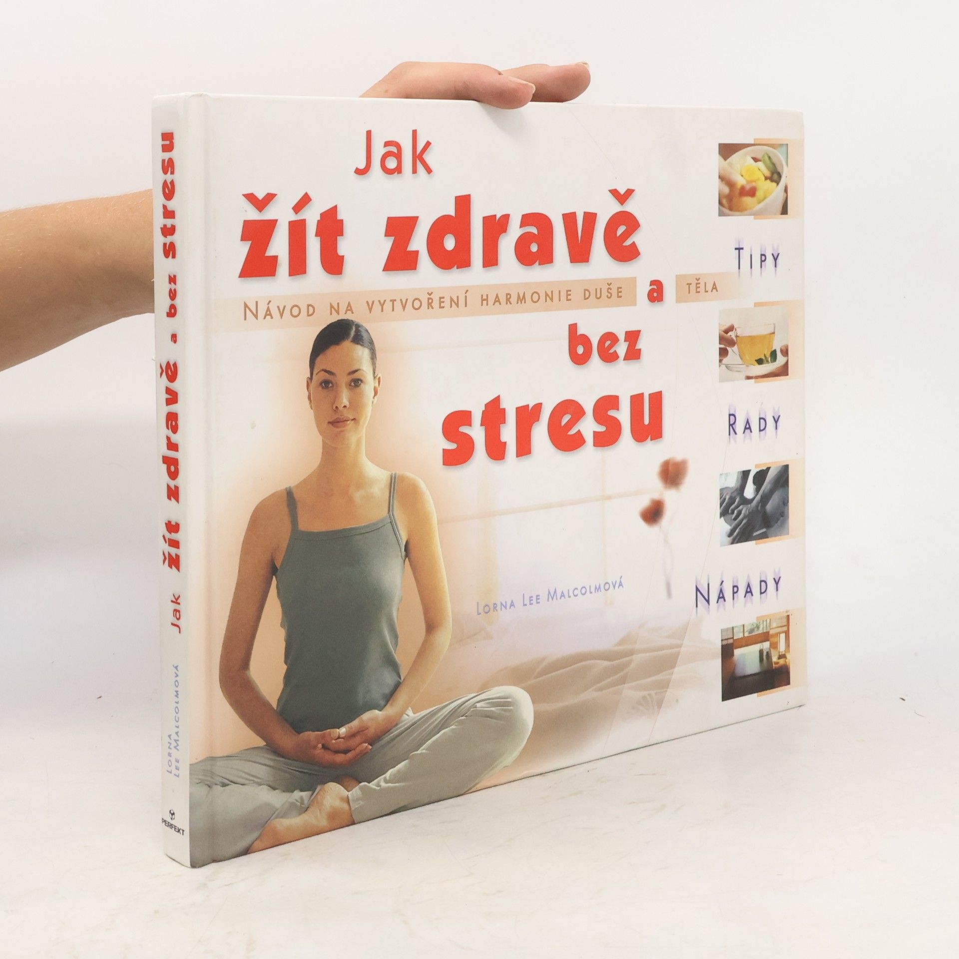 Lorna Lee Malcolm Jak žít zdravě a bez stresu: Tipy, rady, nápady