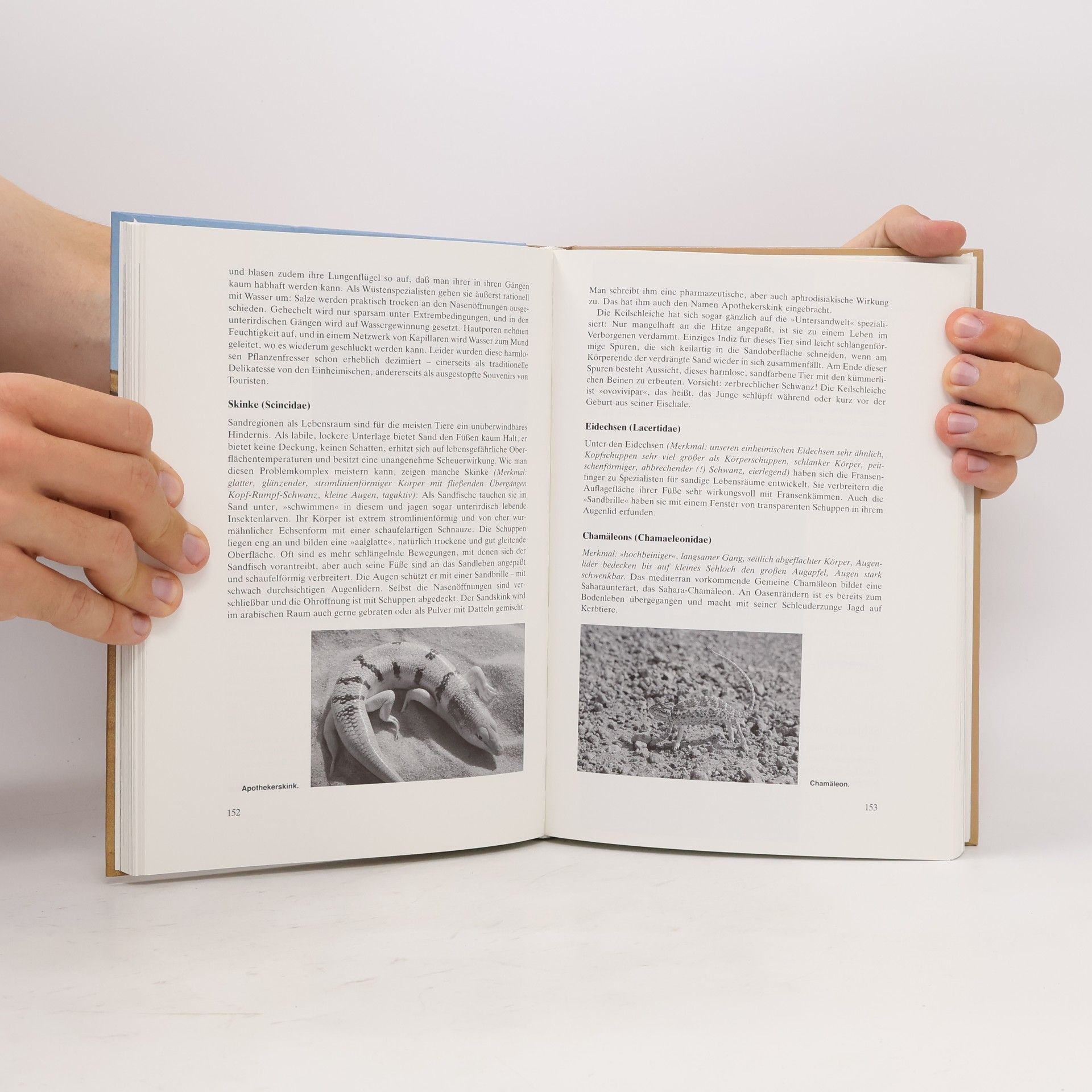 Gerhard Göttler Sahara-Handbuch
