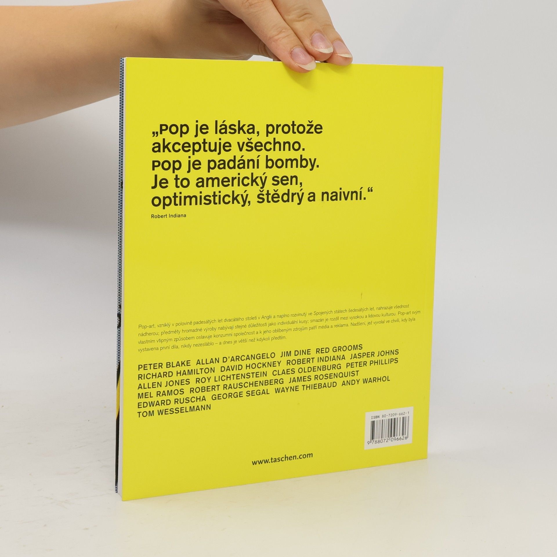 Klaus Honnef Pop-art