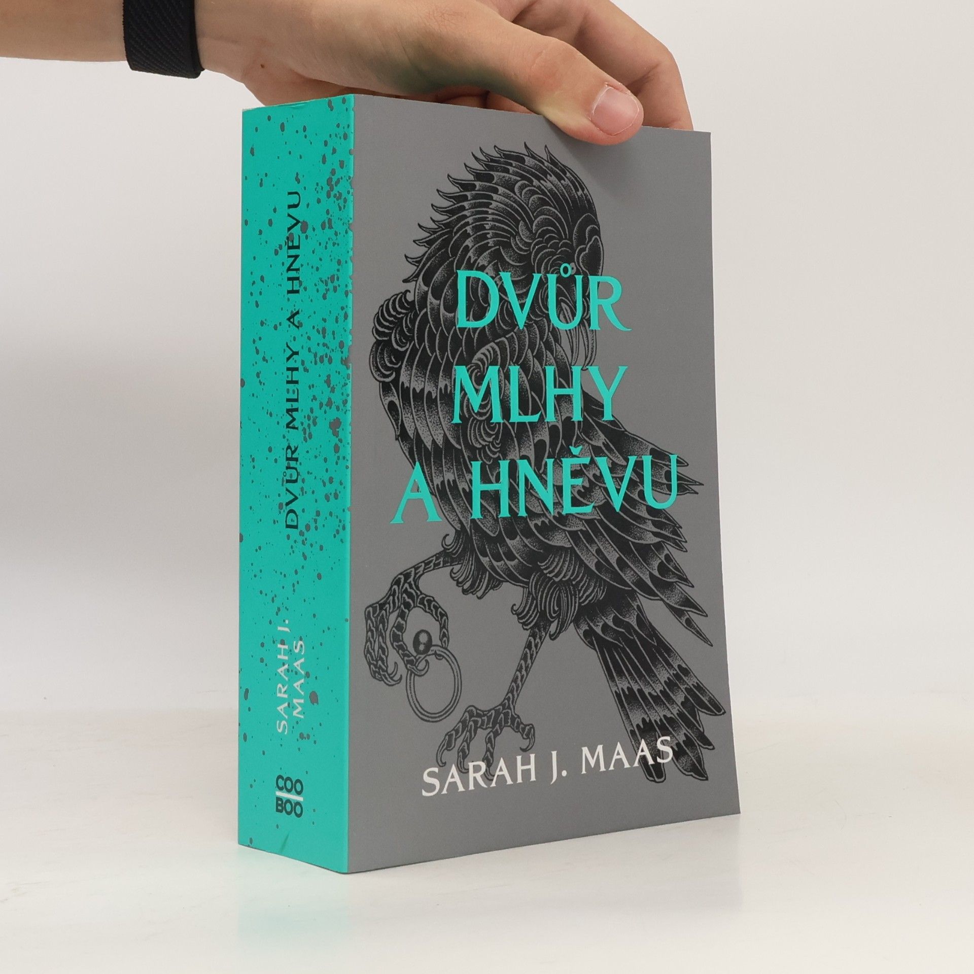 Sarah J. Maas Dvůr mlhy a hněvu