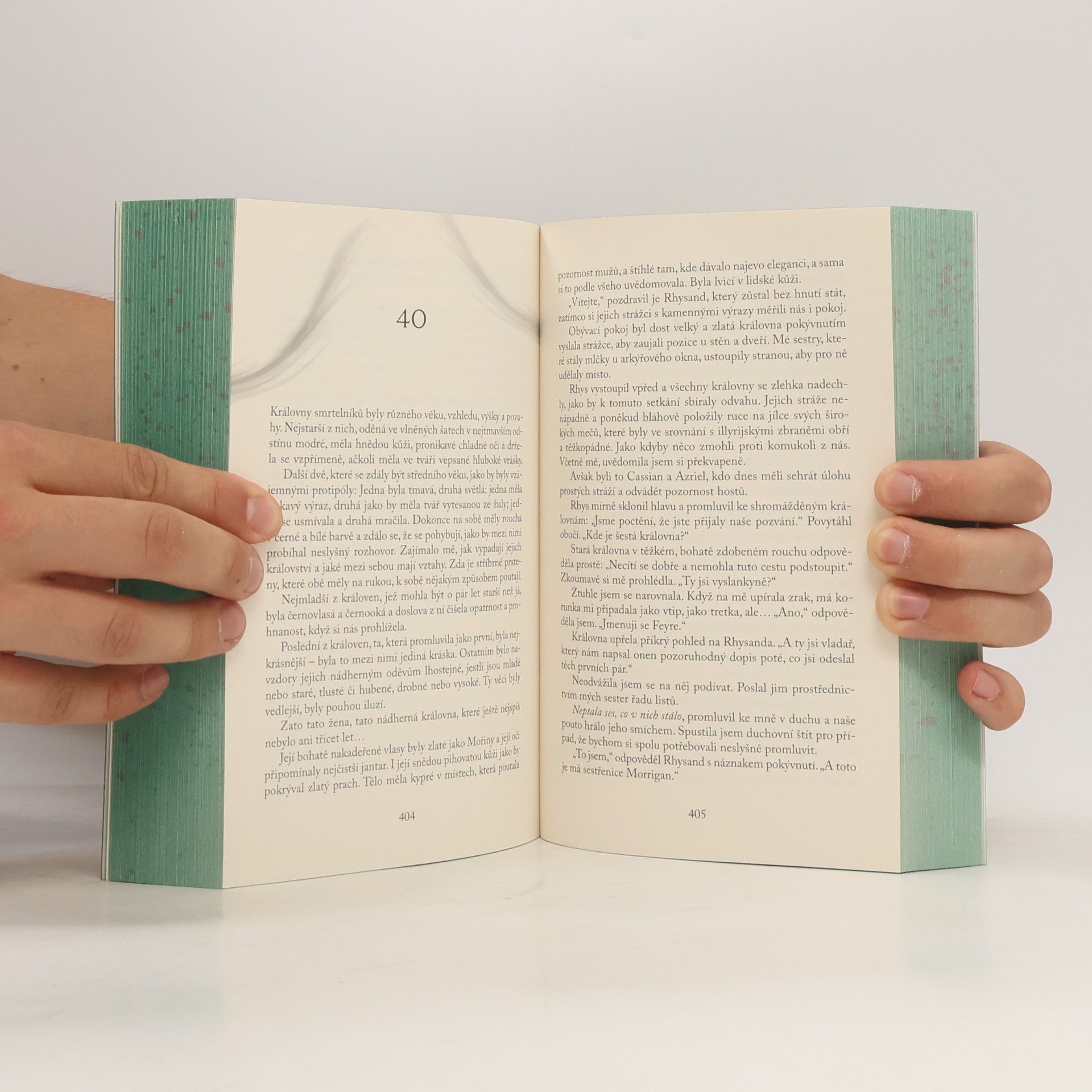 Sarah J. Maas Dvůr mlhy a hněvu