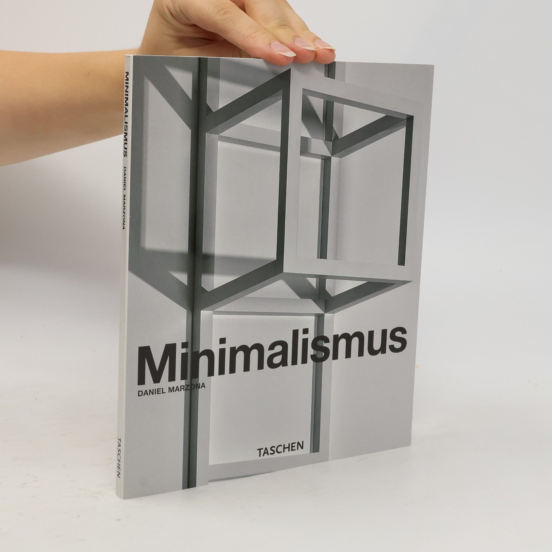 Daniel Marzona Minimalismus