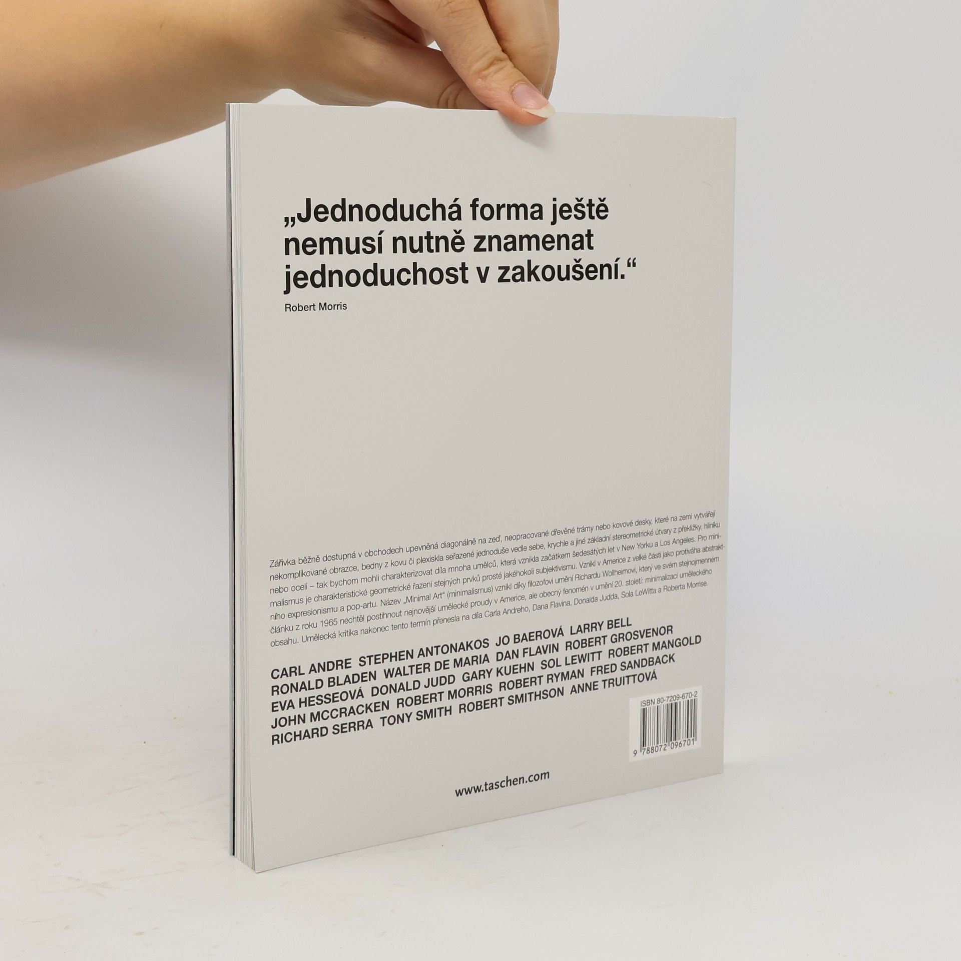 Daniel Marzona Minimalismus
