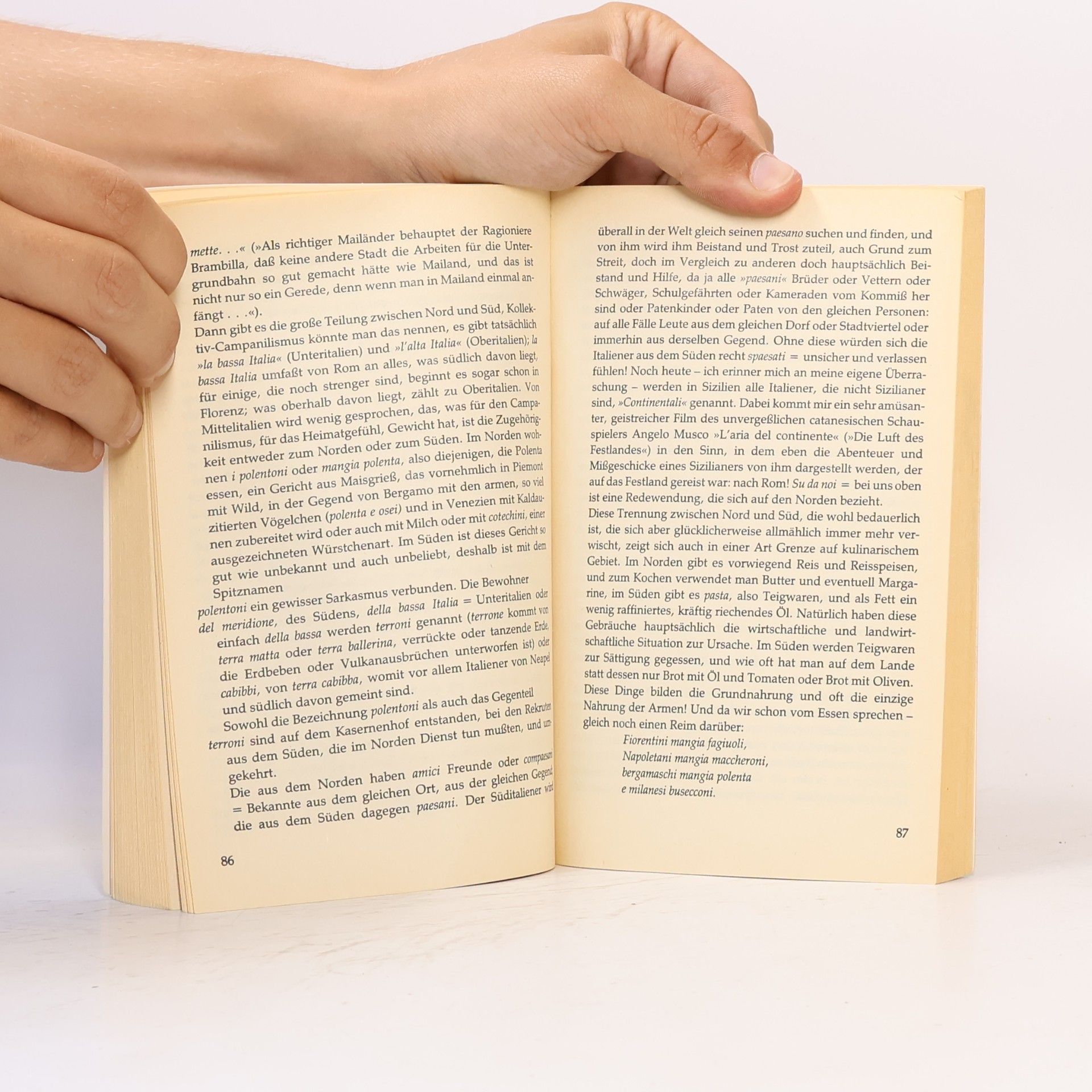 Gianni Selvani Italienisch wie es nicht im Wörterbuch steht