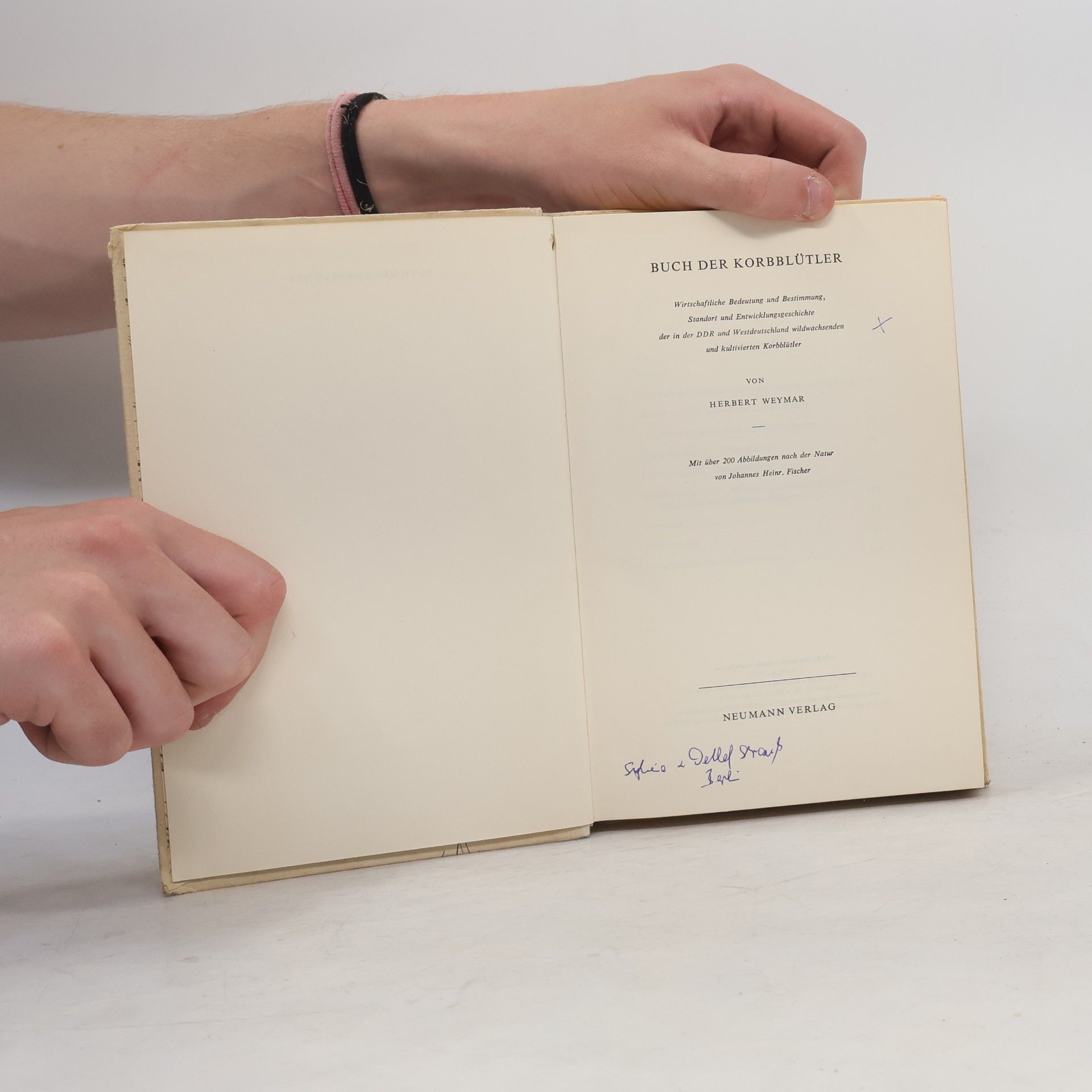 Herbert Weyma Buch der Korbblütler
