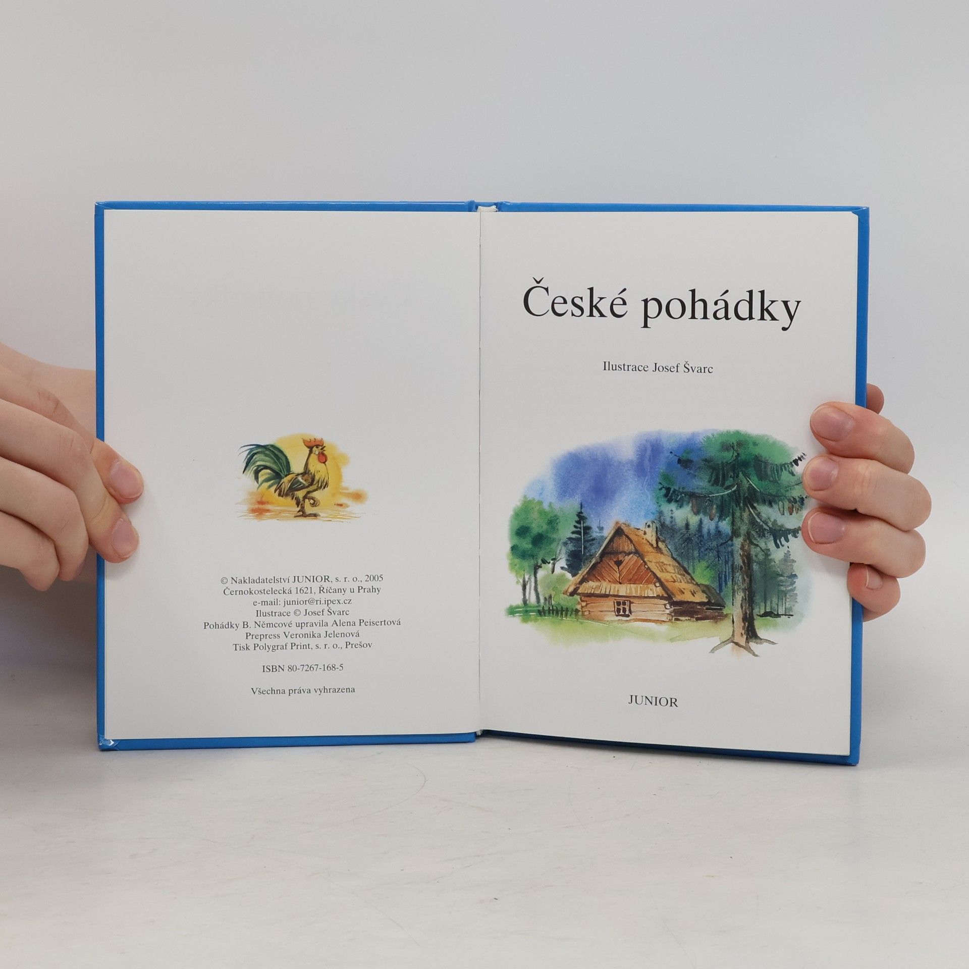 Božena Němcová České pohádky