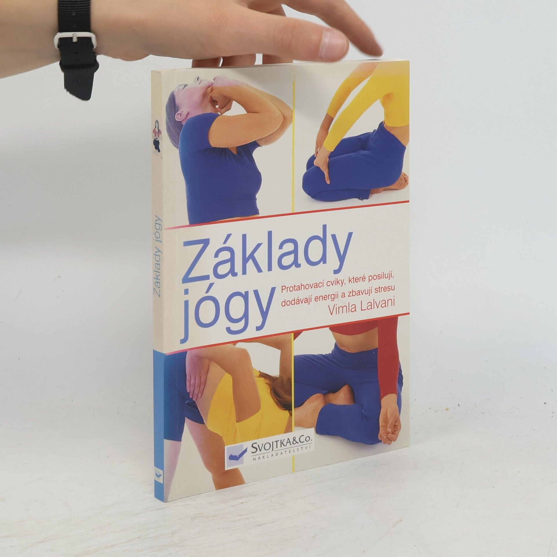 Vimla Lalvani Základy jógy: Protahovací cviky, které posilují, dodávají energii a zbavují stresu