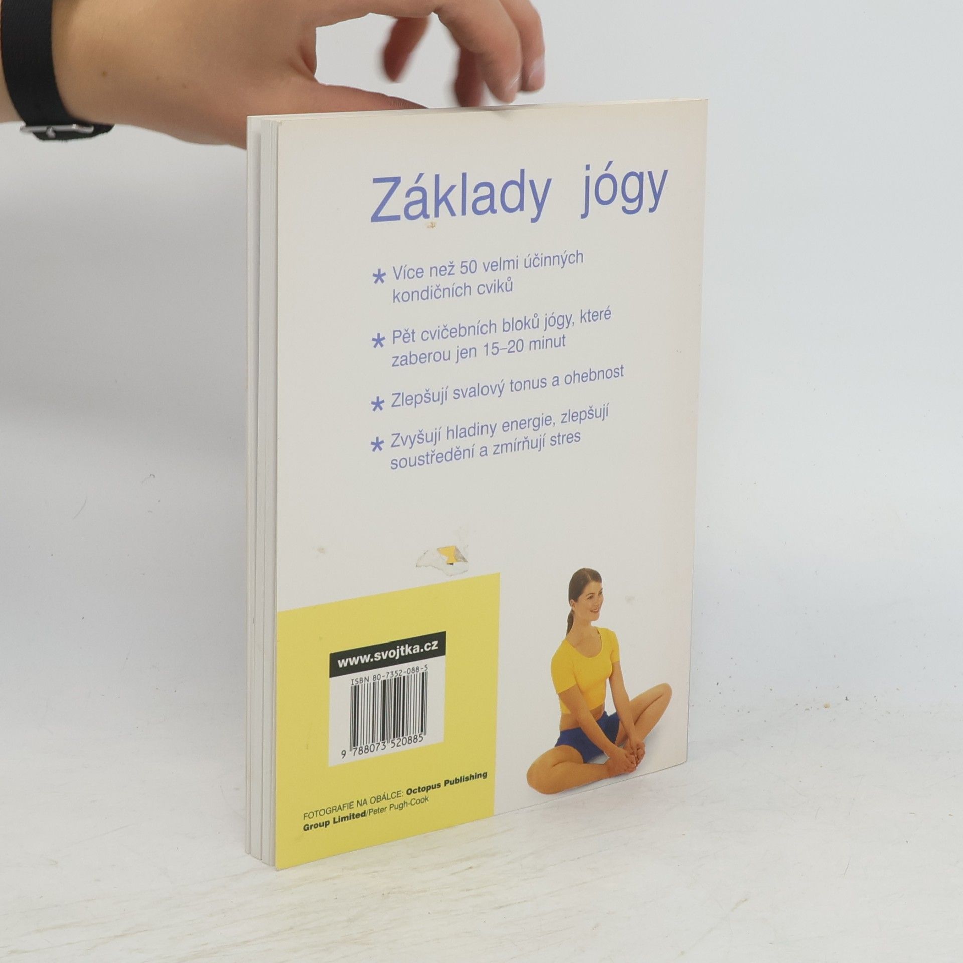 Vimla Lalvani Základy jógy: Protahovací cviky, které posilují, dodávají energii a zbavují stresu