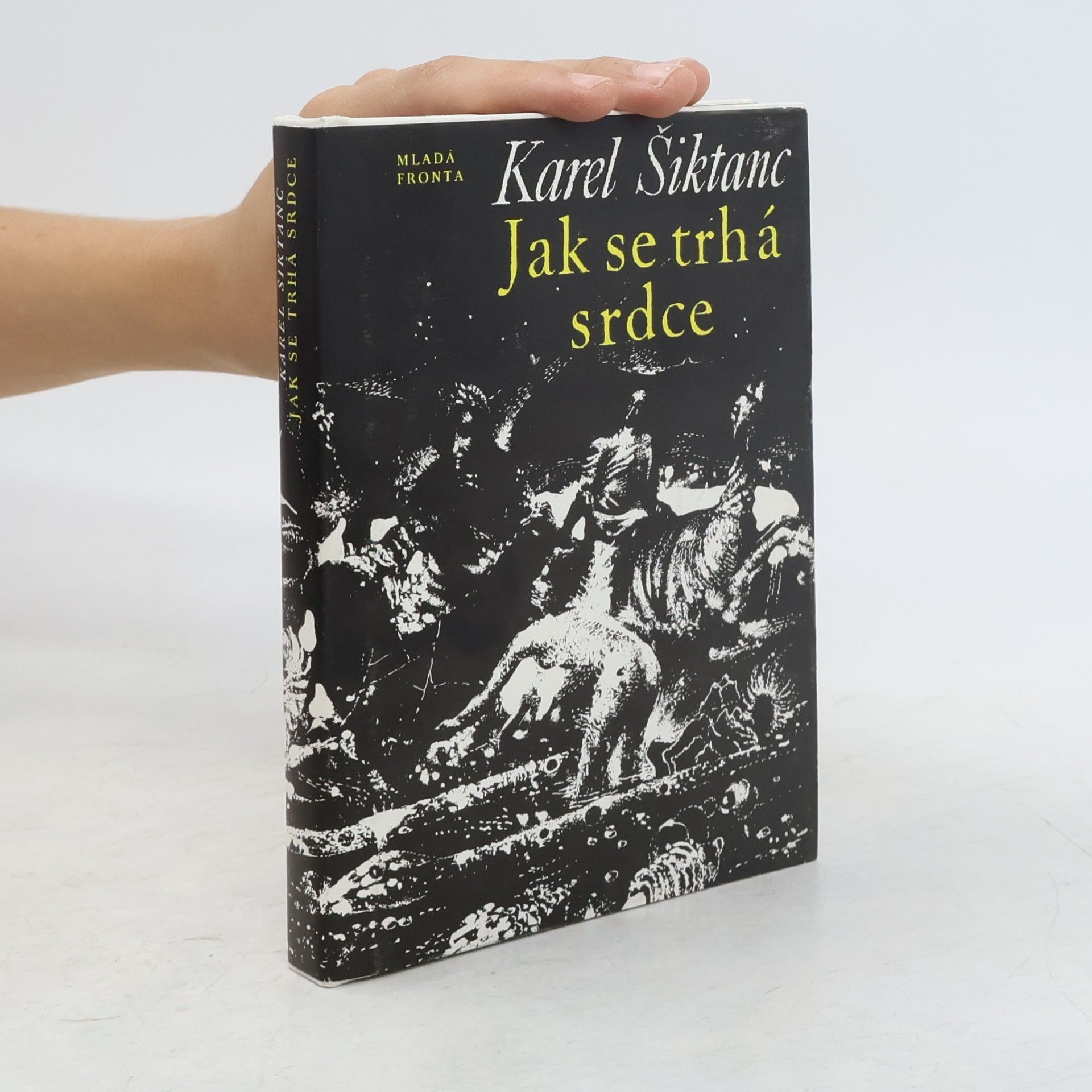 Jak se trhá srdce