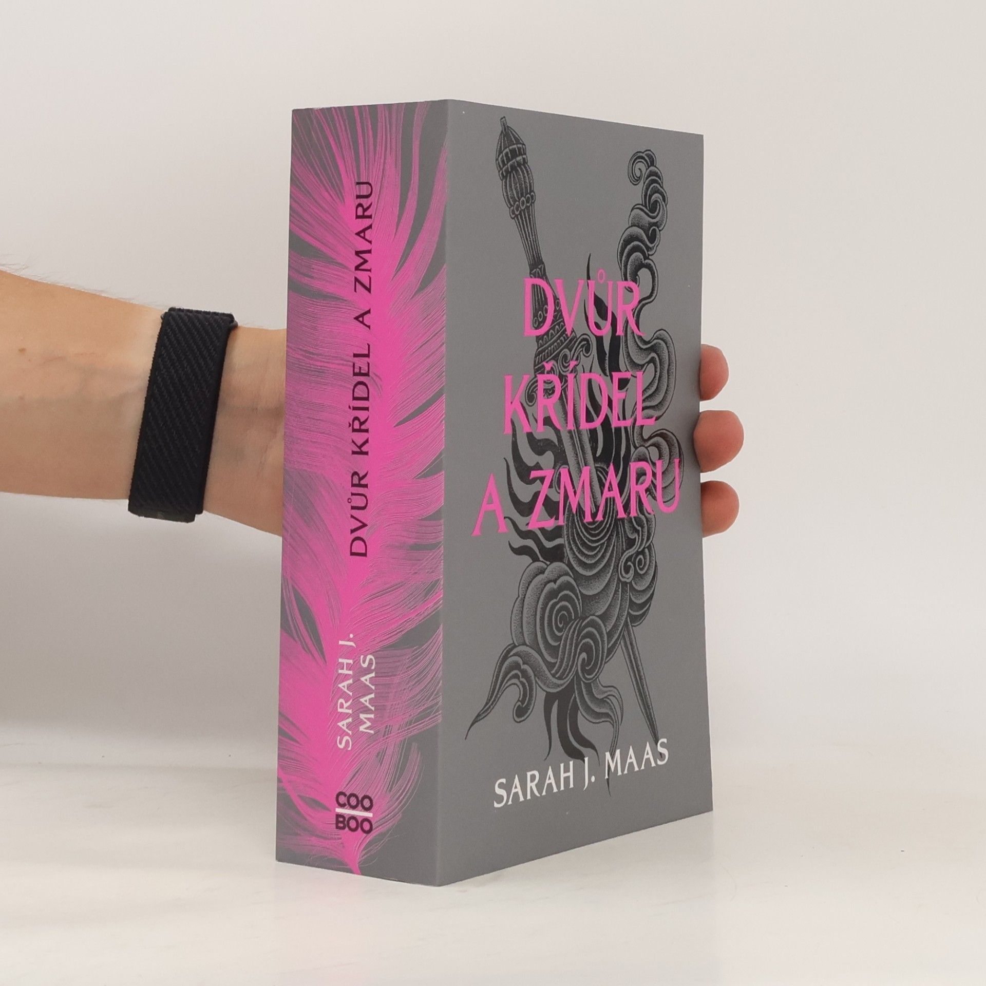 Sarah J. Maas Dvůr křídel a zmaru
