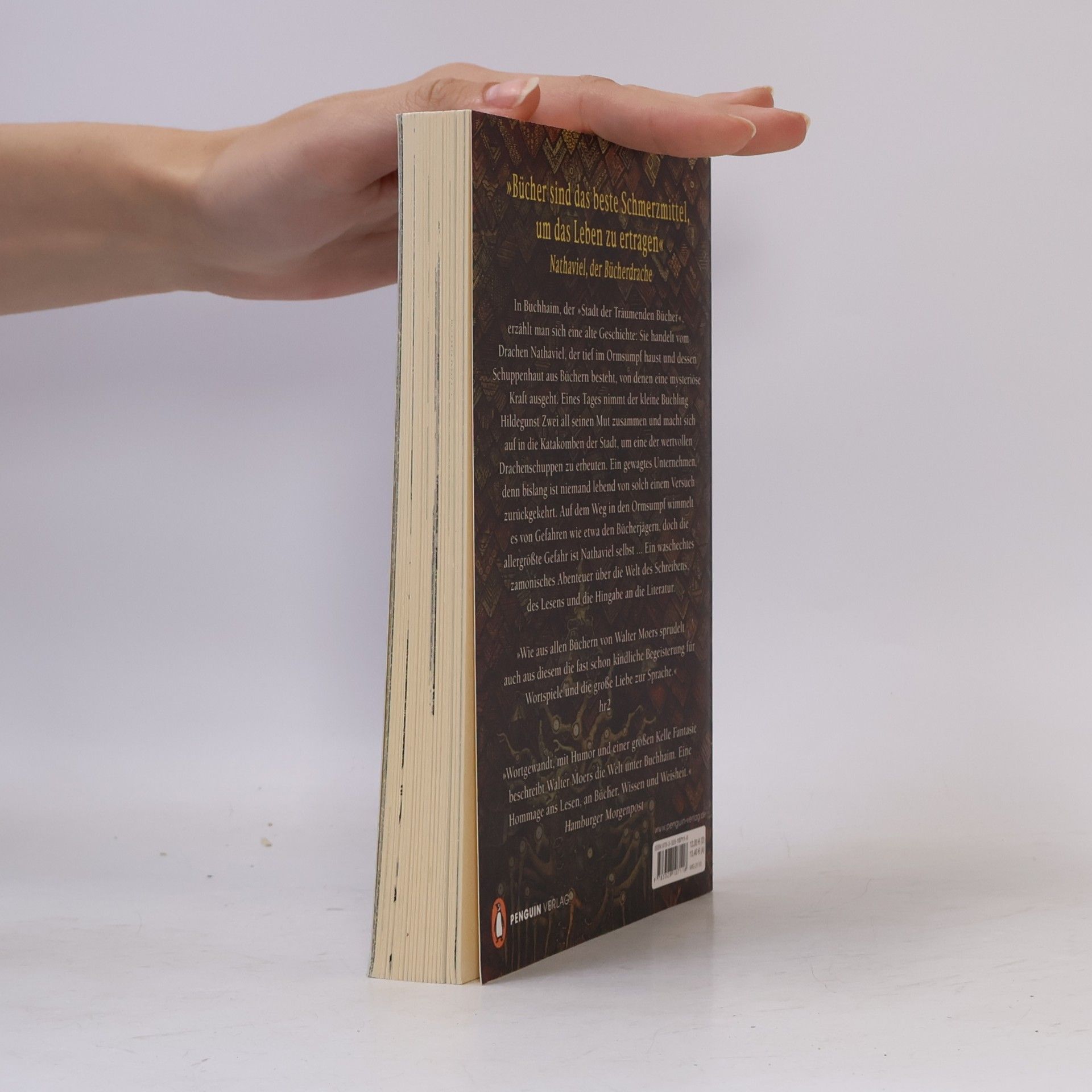 Walter Moers Der Bücherdrache