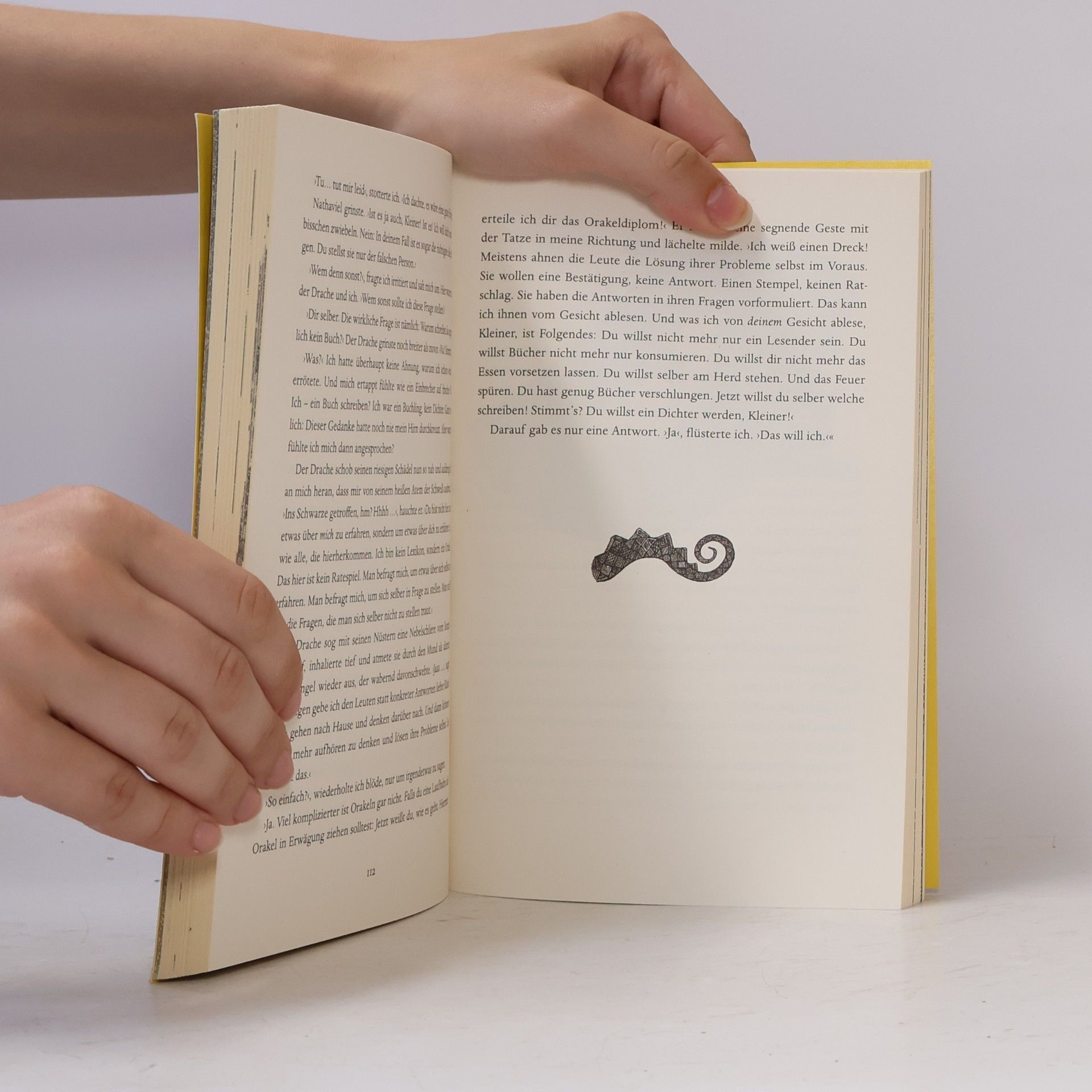 Walter Moers Der Bücherdrache