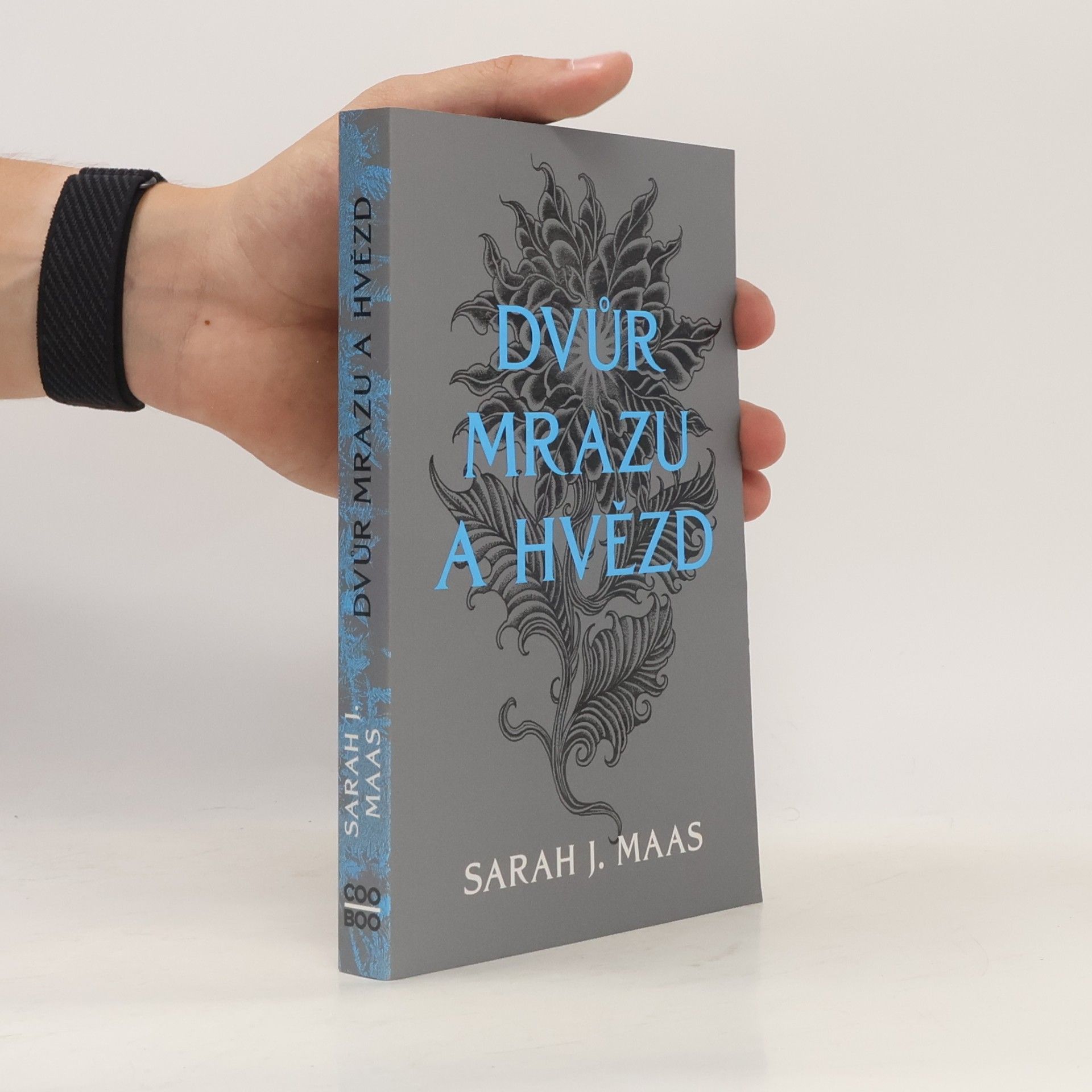 Sarah J. Maas Dvůr mrazu a hvězd