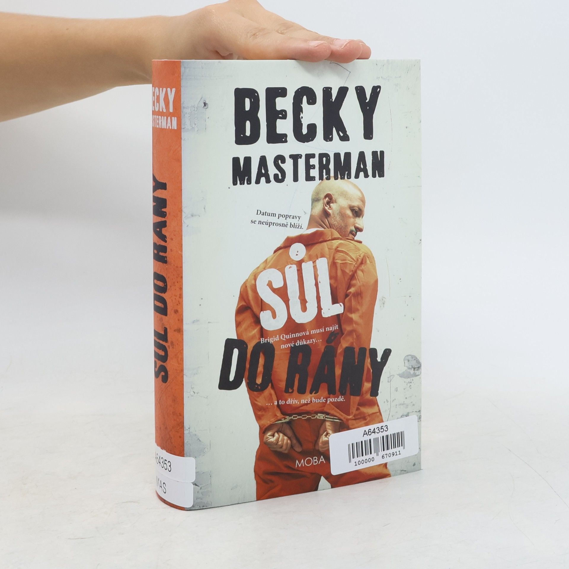 Becky Masterman Sůl do rány
