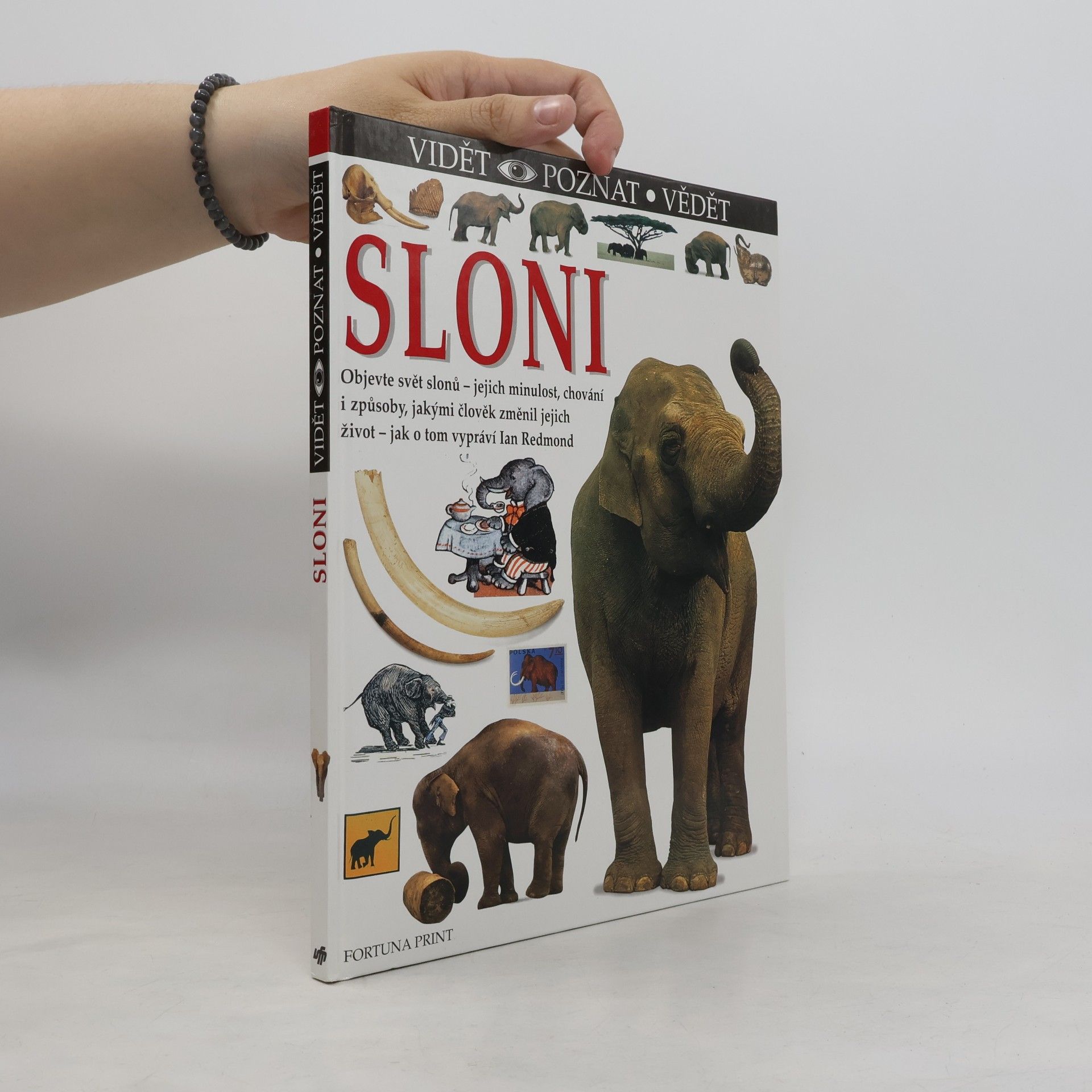 Ian Redmond Sloni