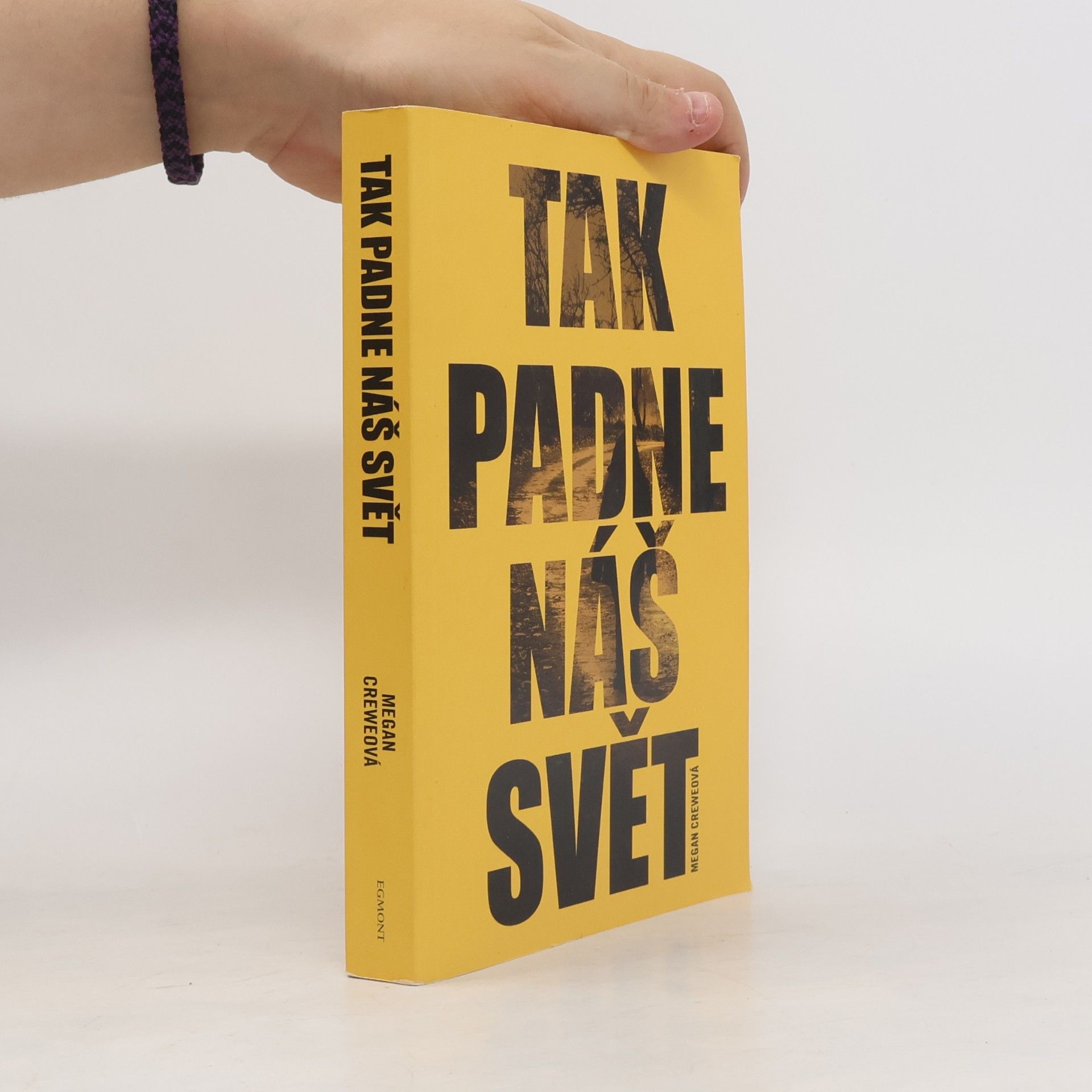 Megan Crewe Tak padne náš svět