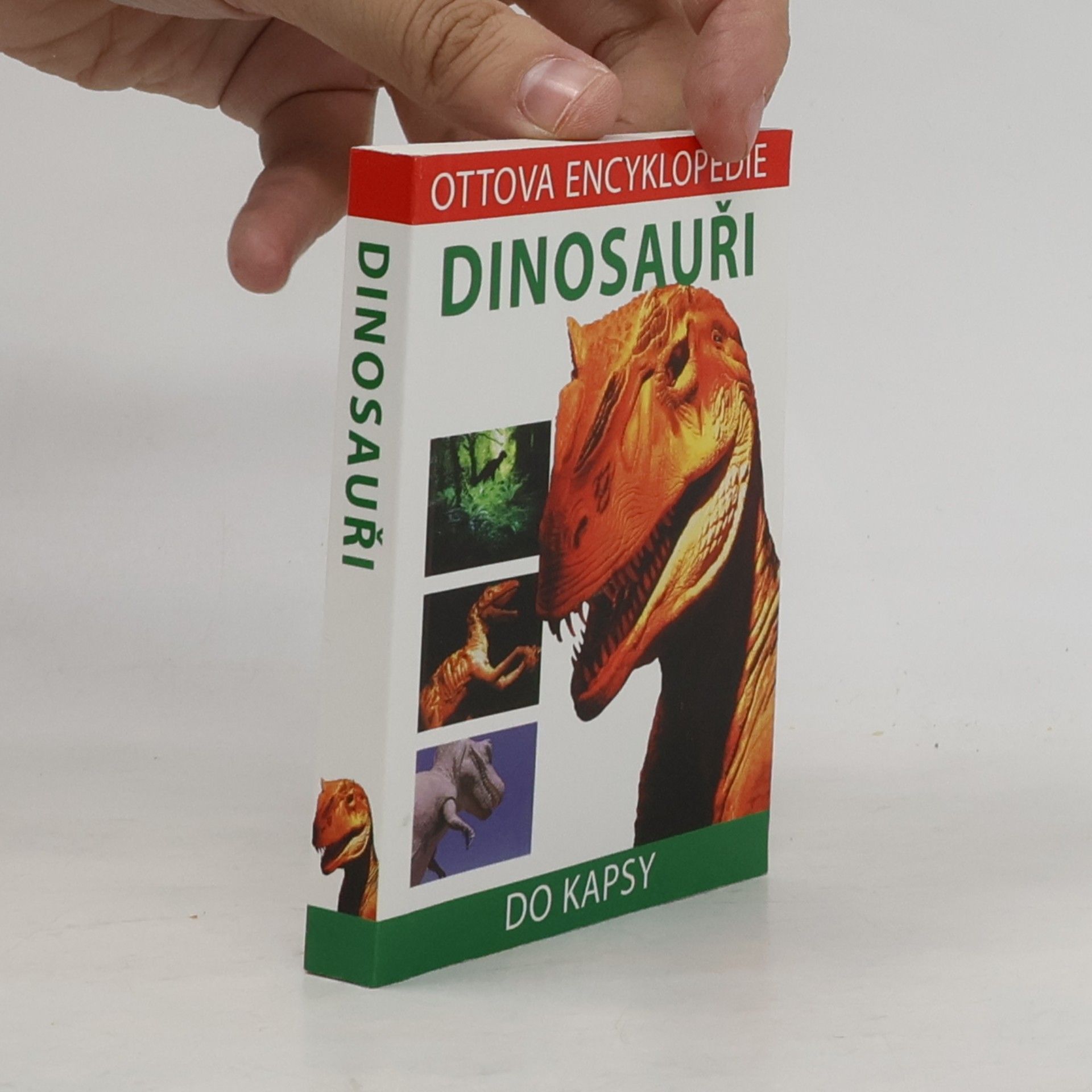 David Lambert Dinosauři