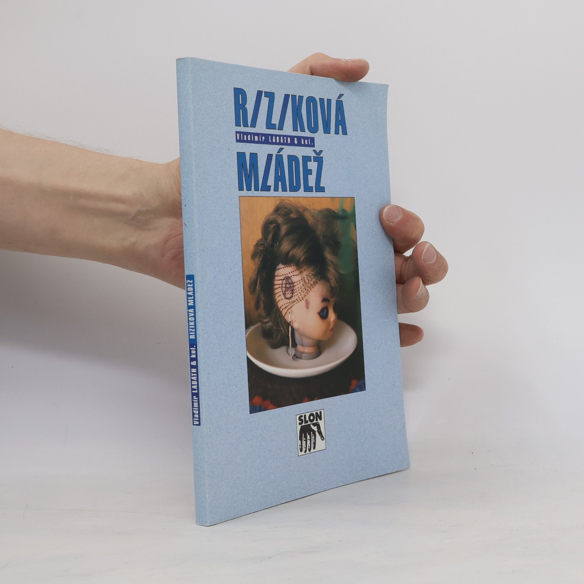 Vladimír Labáth Riziková mládež