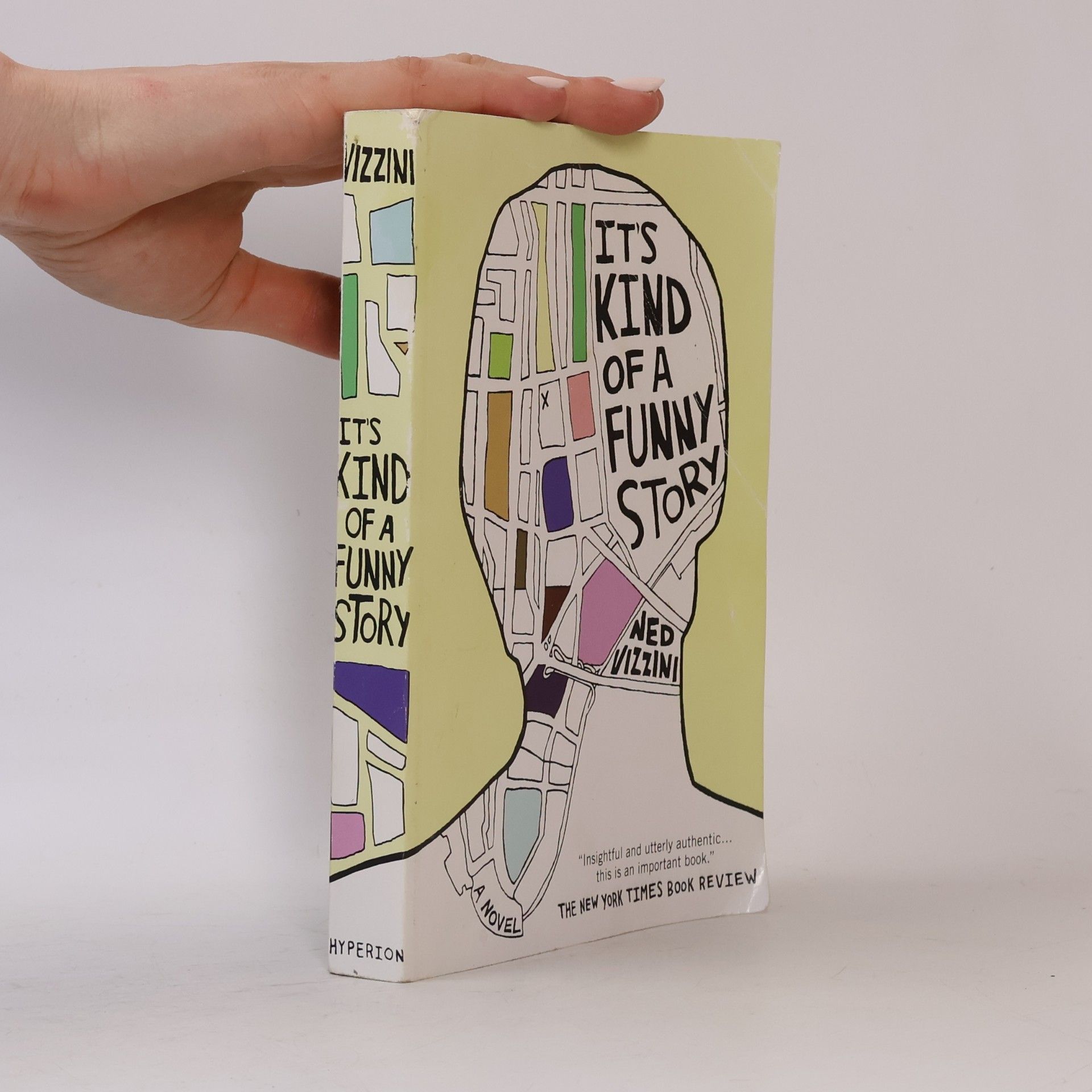 Ned Vizzini It's kind of a funny story
