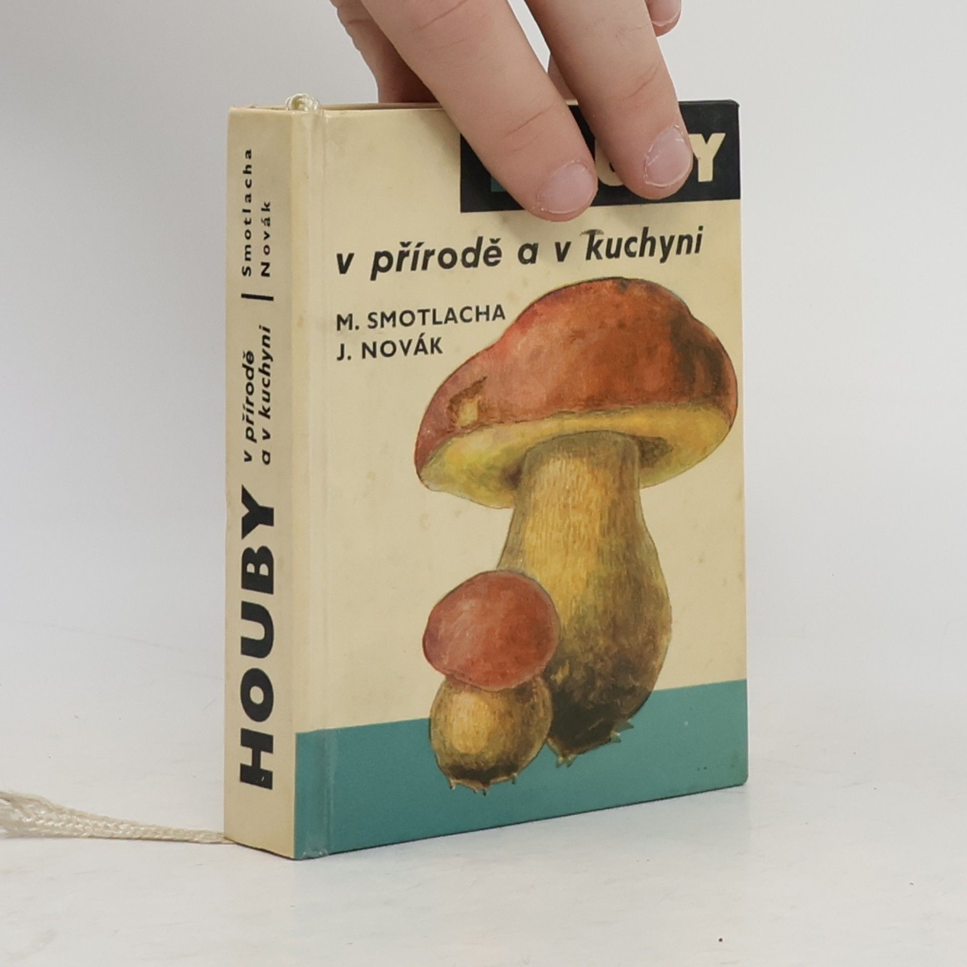 Miroslav Smotlacha Houby v přírodě a v kuchyni