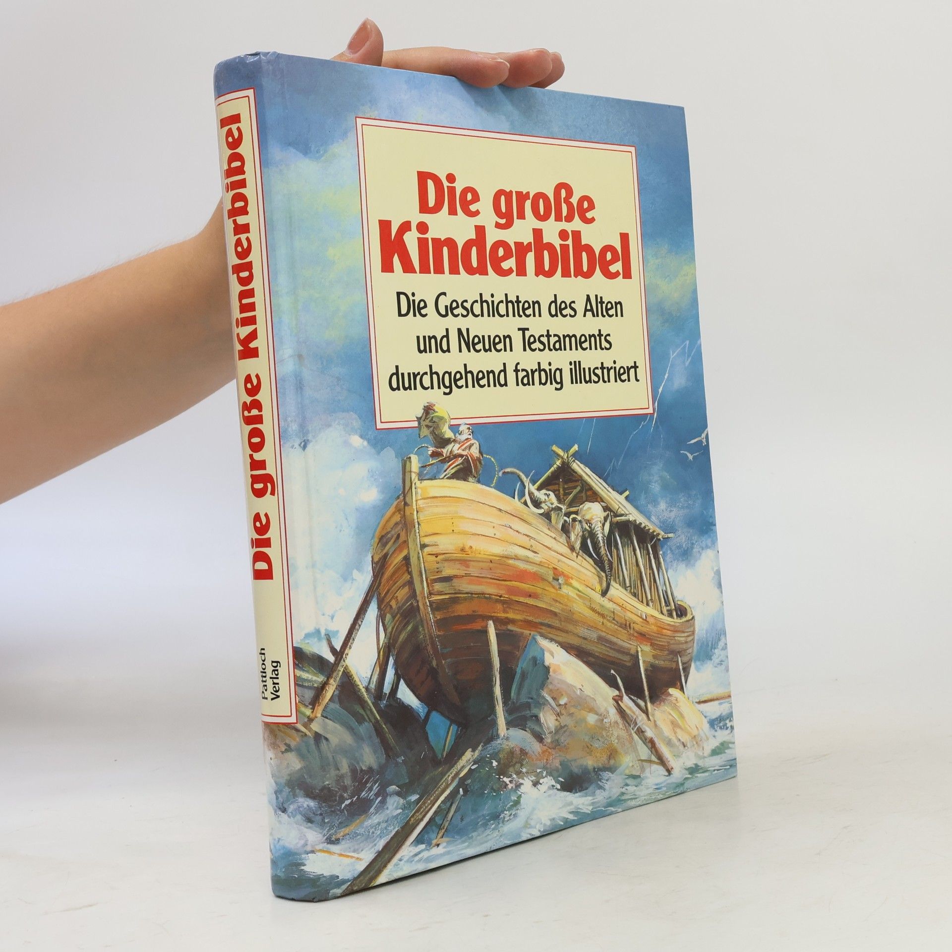 Marjorie Newman Die große Kinderbibel. Die Geschichten aus des Alten und Neuen Testaments durchgehend farbig illustriert