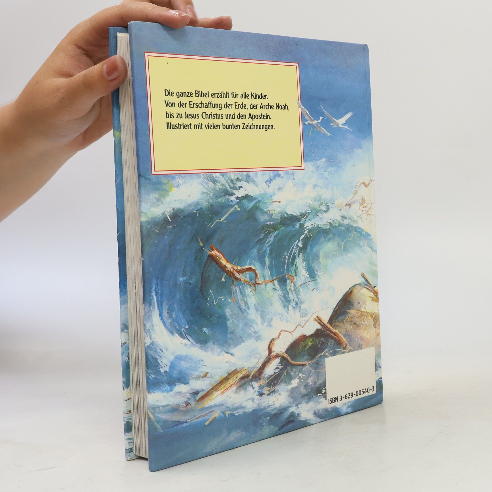 Marjorie Newman Die große Kinderbibel. Die Geschichten aus des Alten und Neuen Testaments durchgehend farbig illustriert