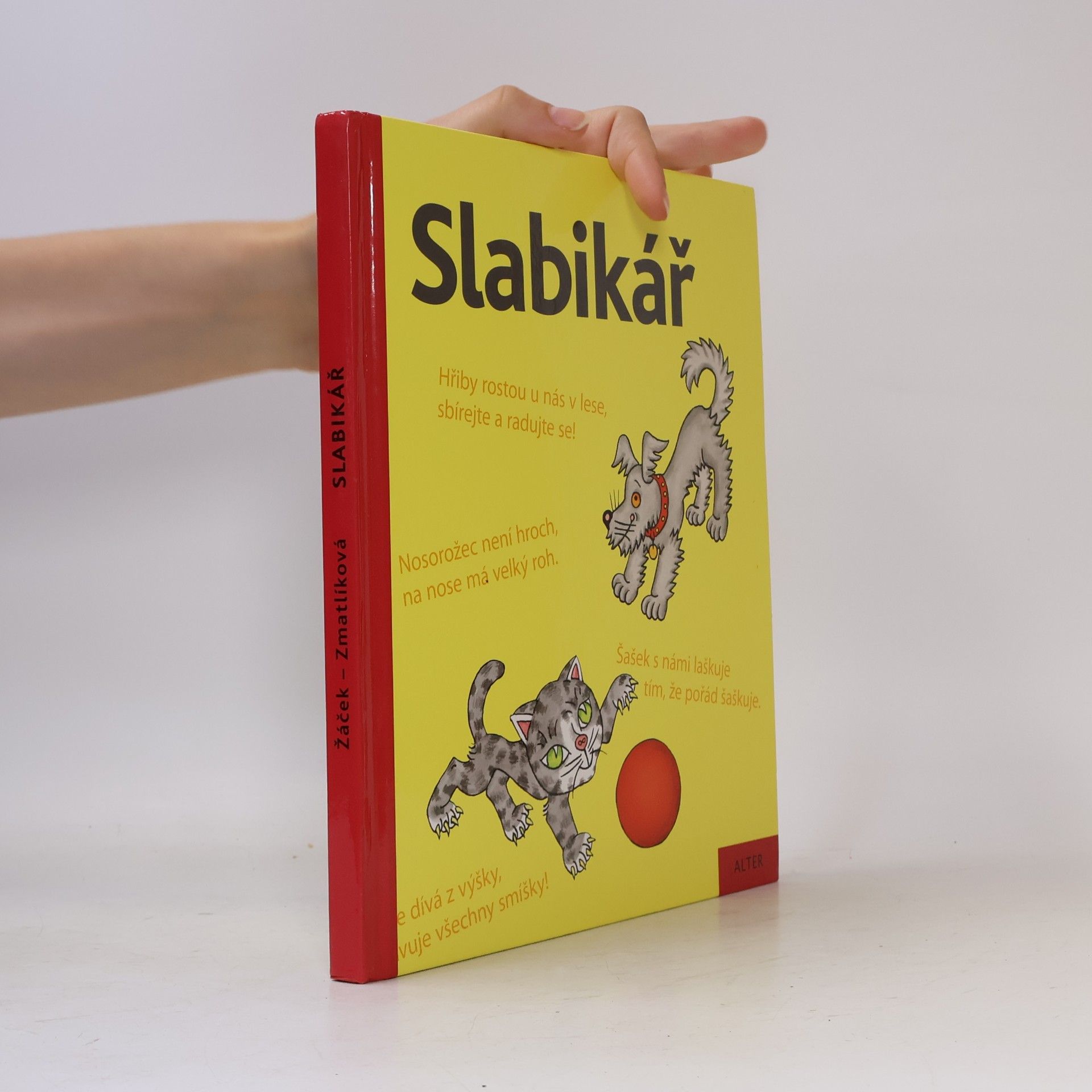 Helena Zmatlíková Slabikář : učebnice pro vzdělávací obor Český jazyk a literatura