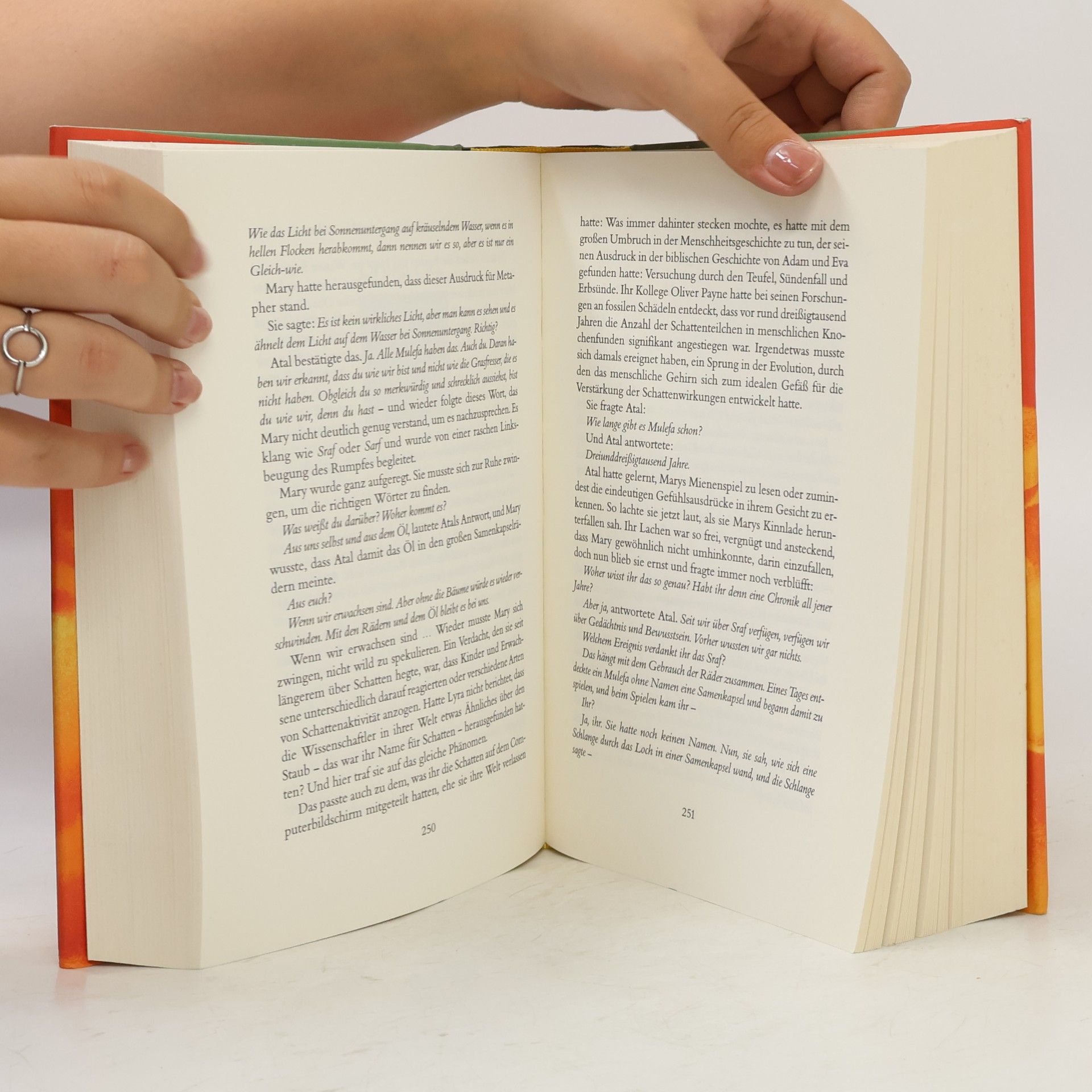 Philip Pullman Das Bernstein-Teleskop