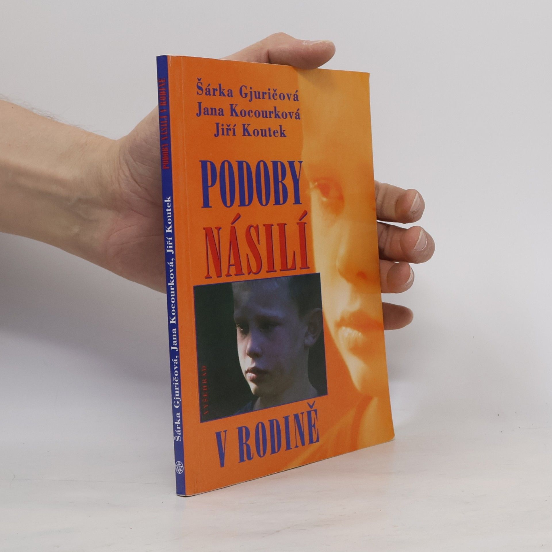 Jiří Koutek Podoby násilí v rodině