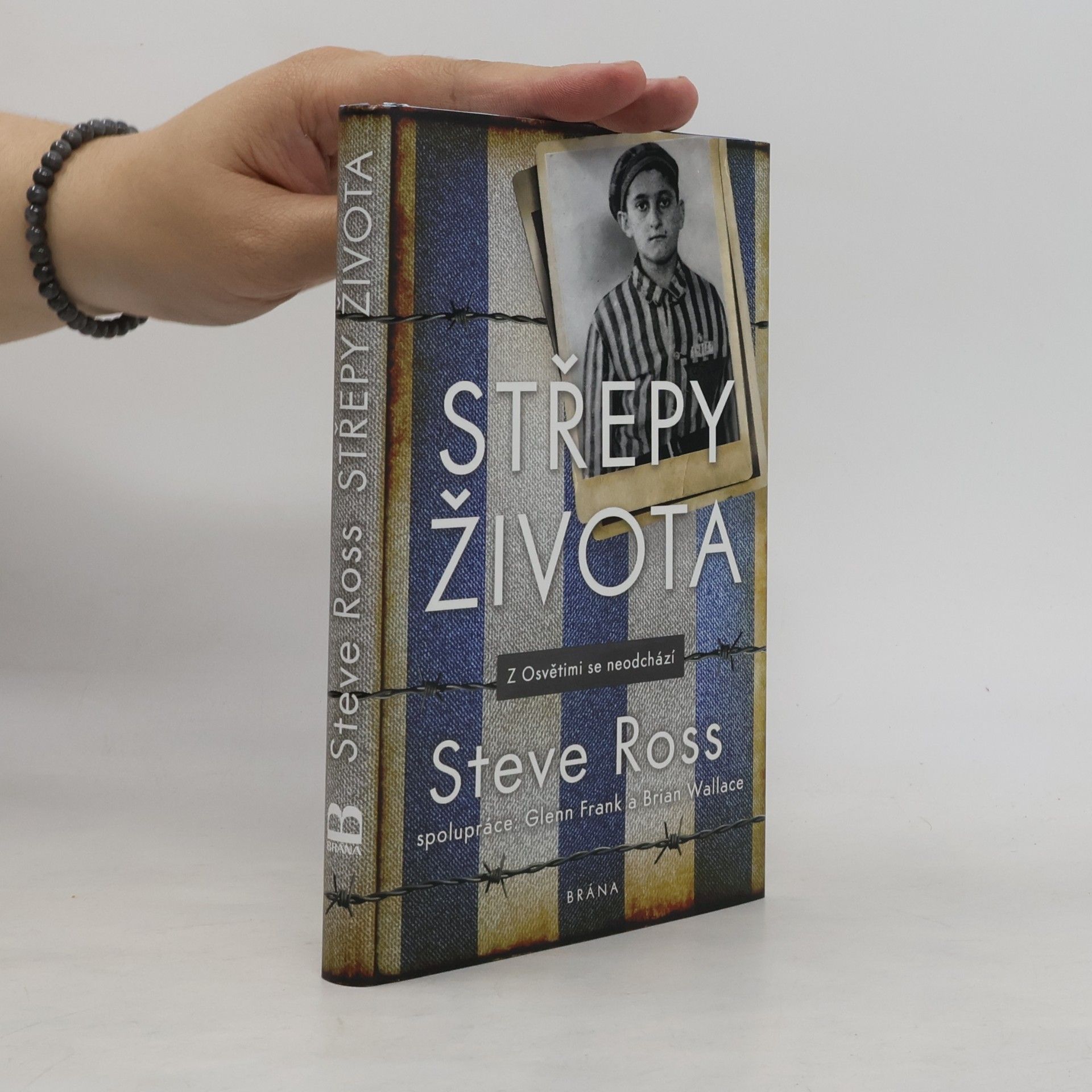 Brian Wallace Střepy života