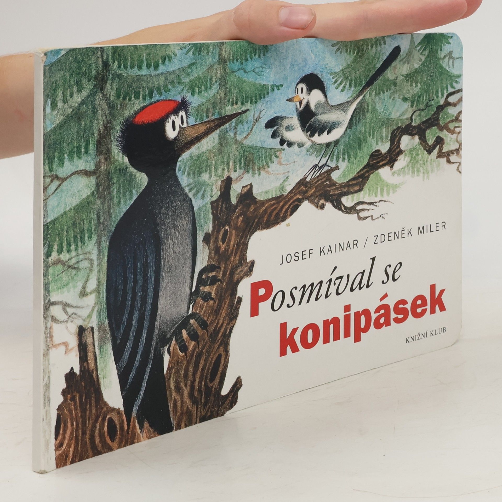 Posmíval se konipásek