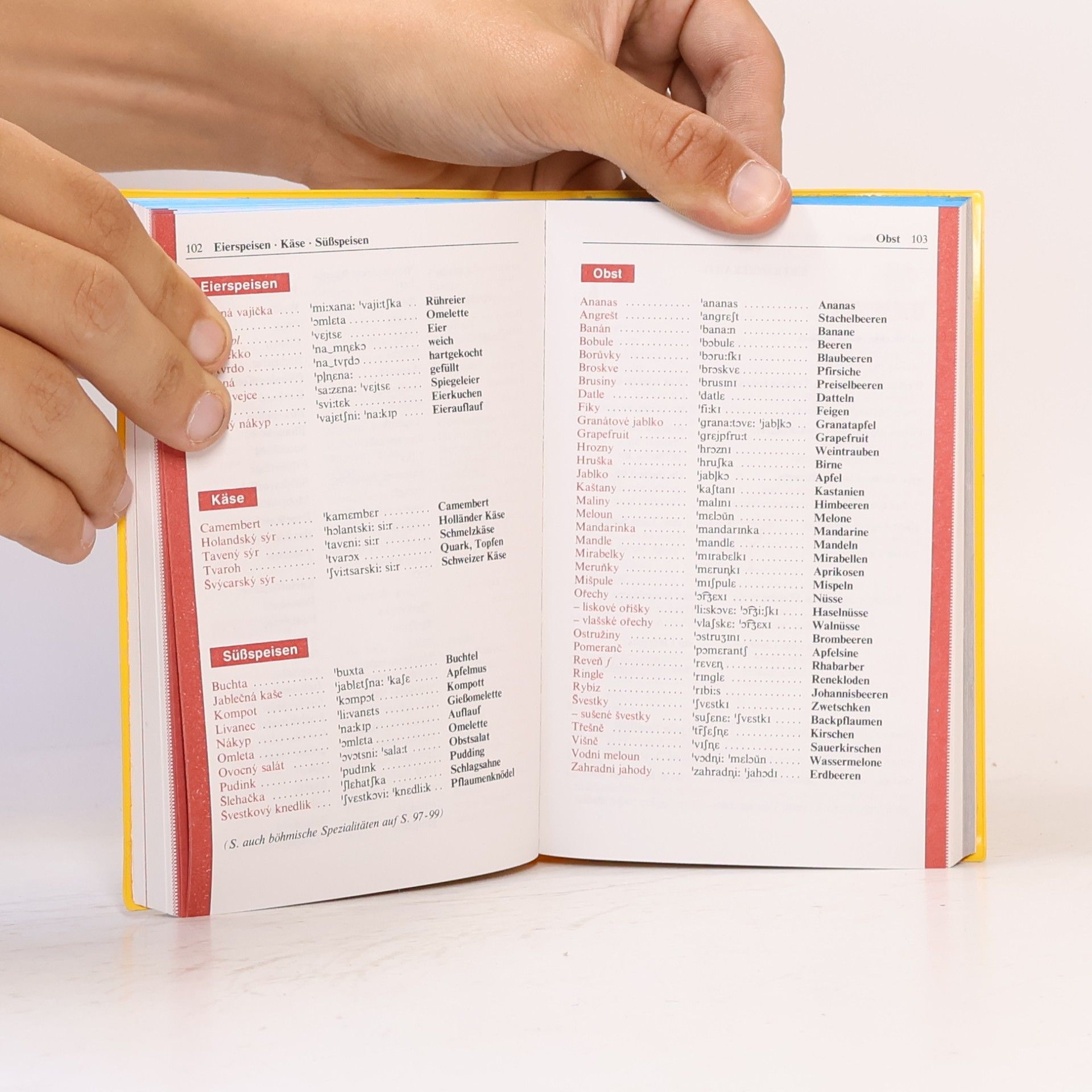 Autorenkollektiv Langenscheidts Sprachführer Tschechisch mit Reisewörterbuch Deutsch-Tschechisch
