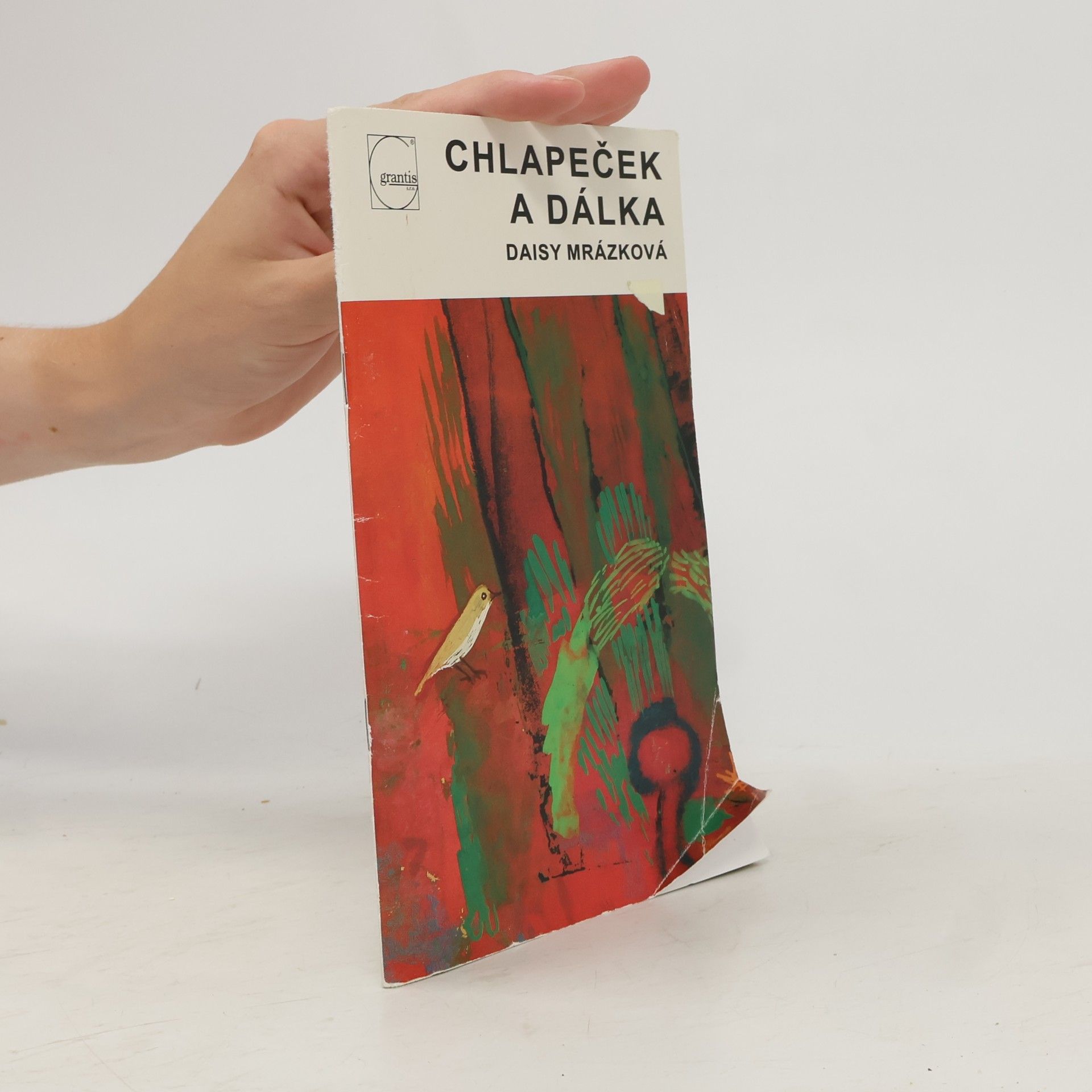 Daisy Mrázková Chlapeček a dálka