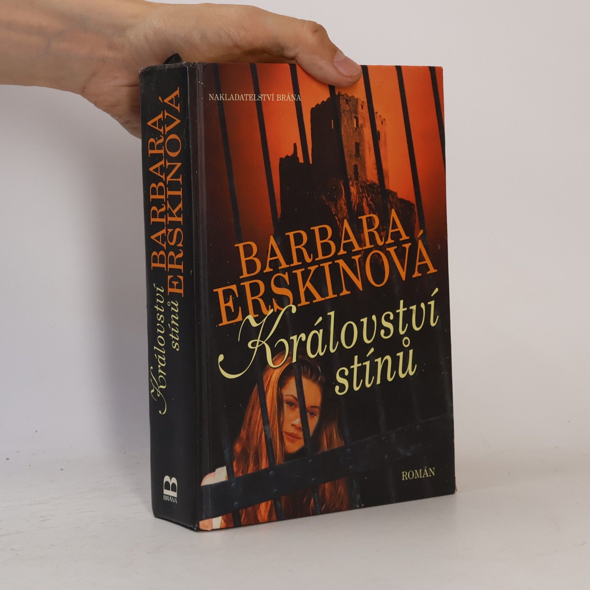 Barbara Erskine Království stínů : román