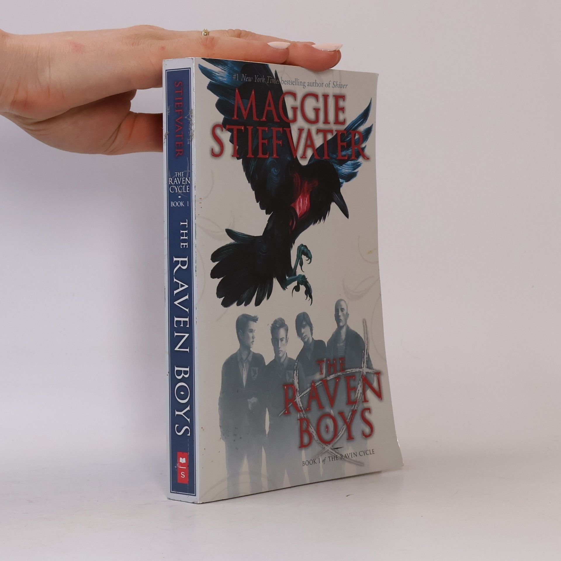The Raven Boys